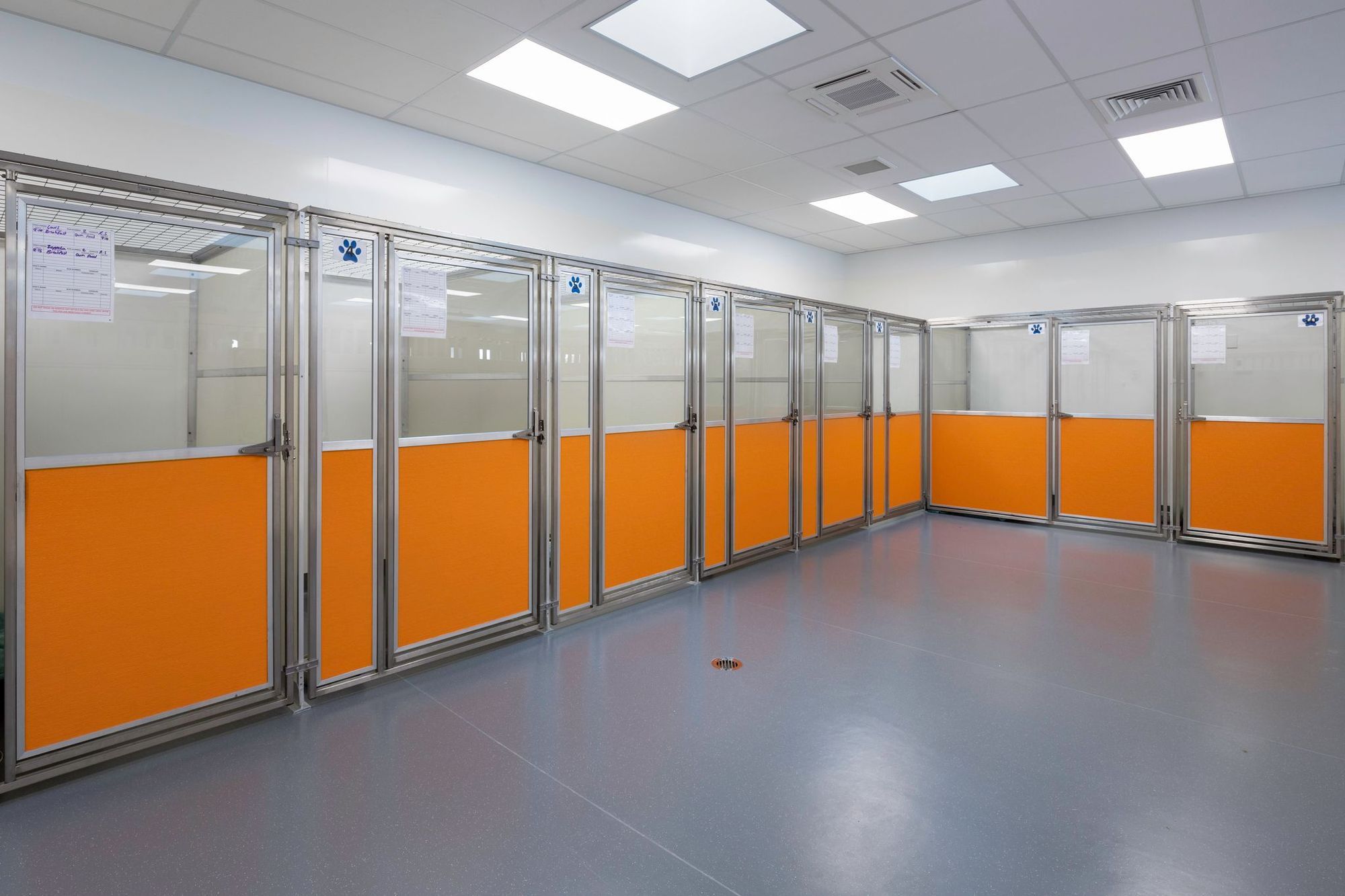 SPCA Hobsonville