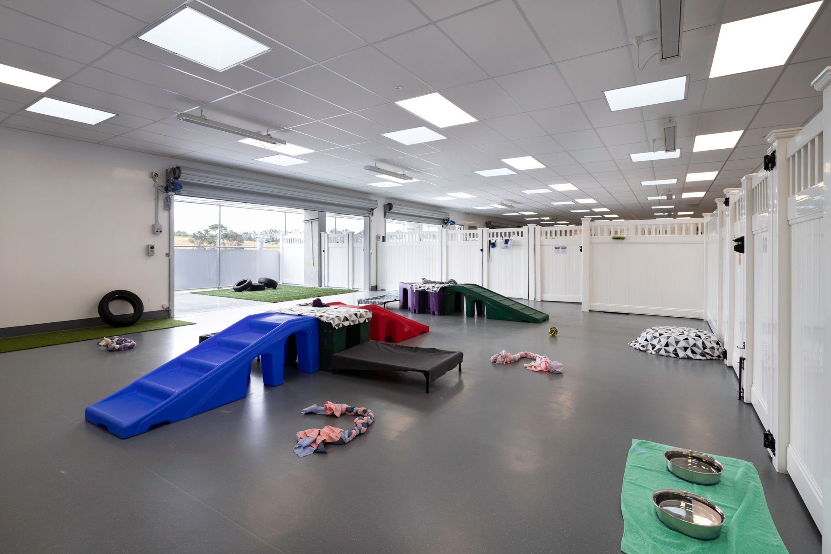 SPCA Hobsonville
