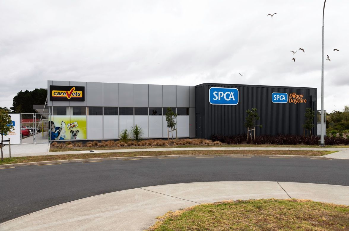 SPCA Hobsonville