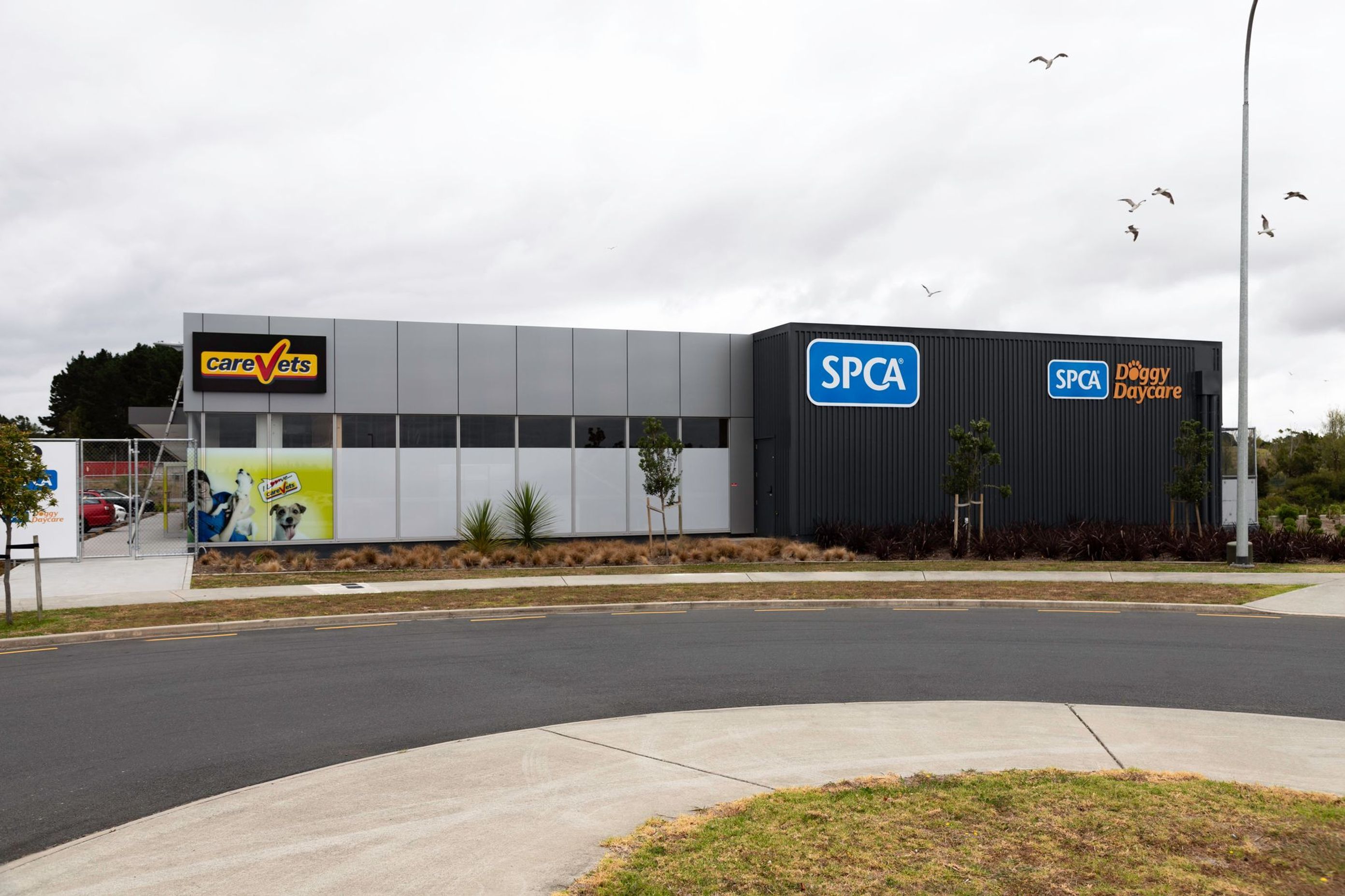SPCA Hobsonville