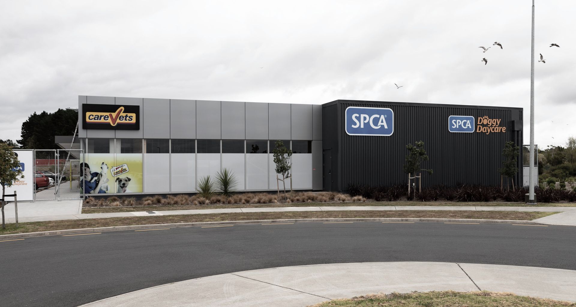 SPCA Hobsonville banner
