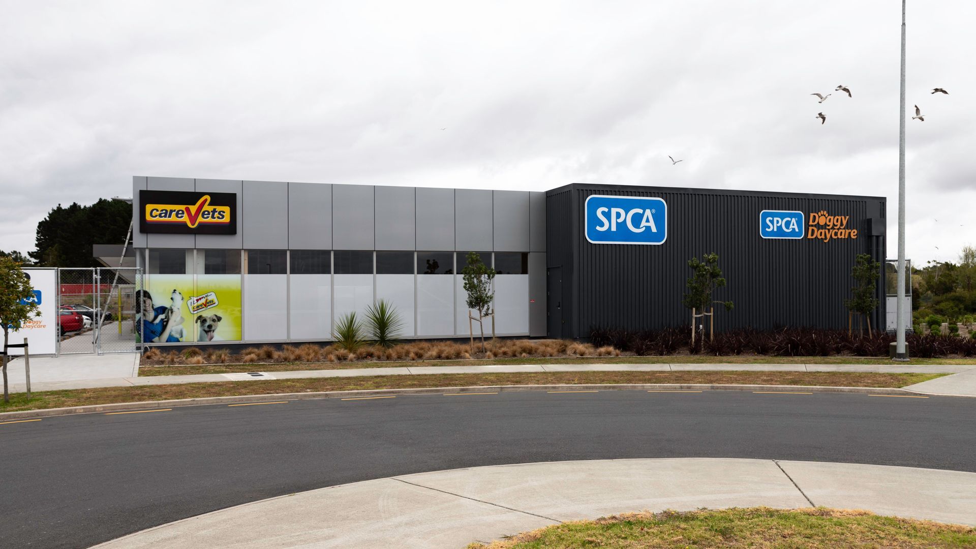 SPCA Hobsonville banner