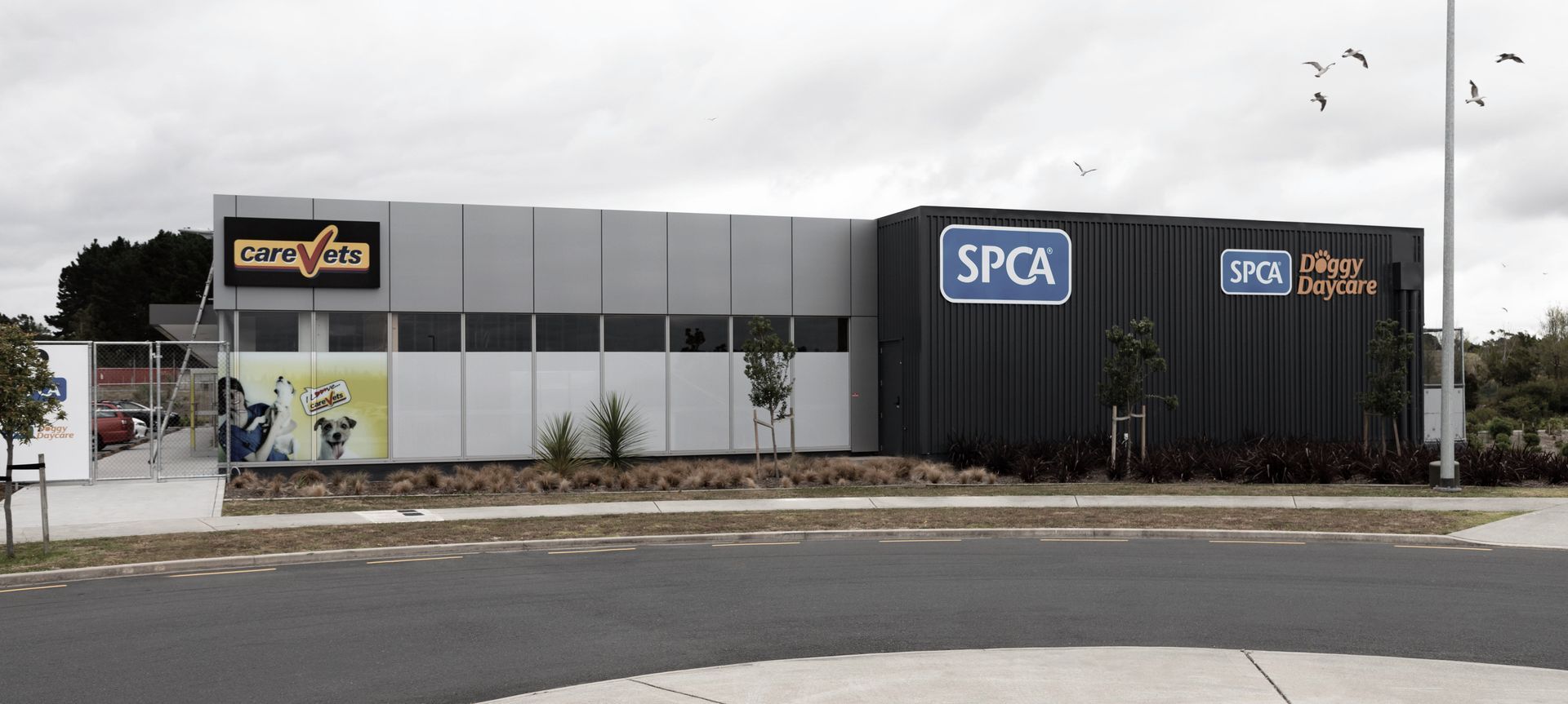SPCA Hobsonville banner