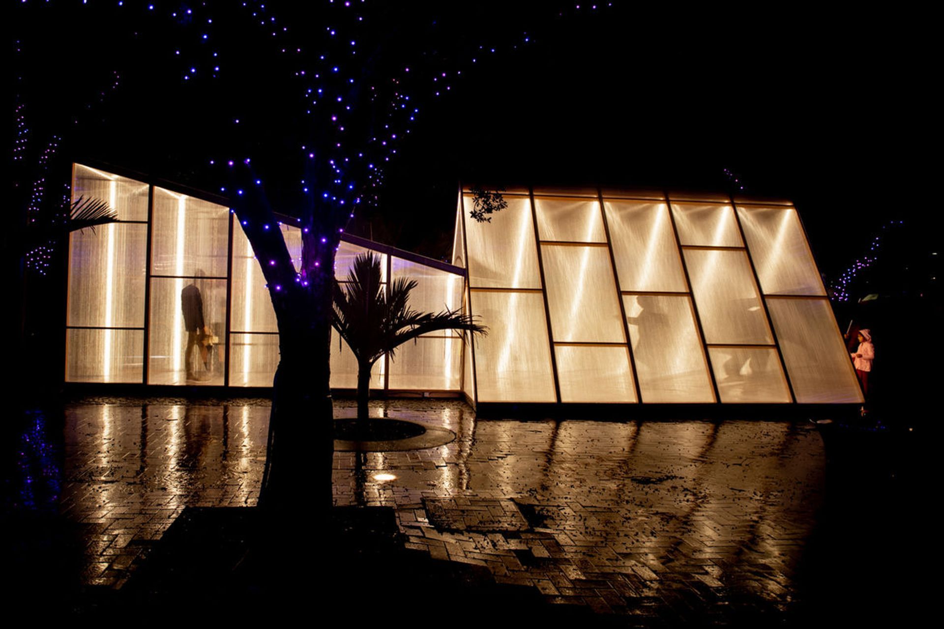 The Vitruvian Tunnel