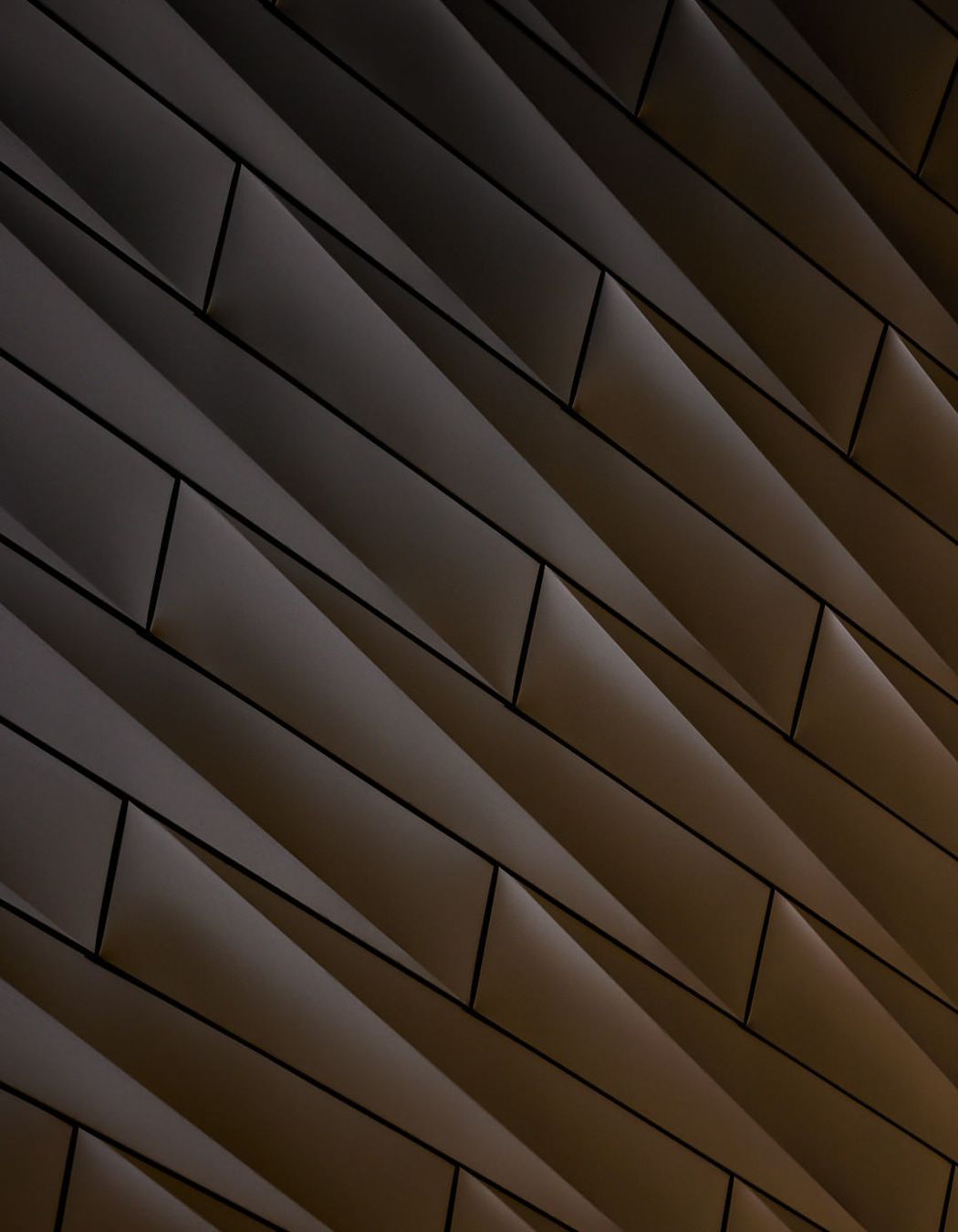 92A7527-v3.jpg