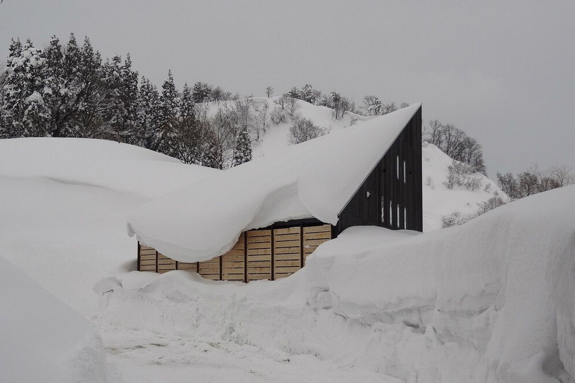 Strong winds from Siberia cross the Japan Sea, capturing moisture and creating snowfall in Niigata.