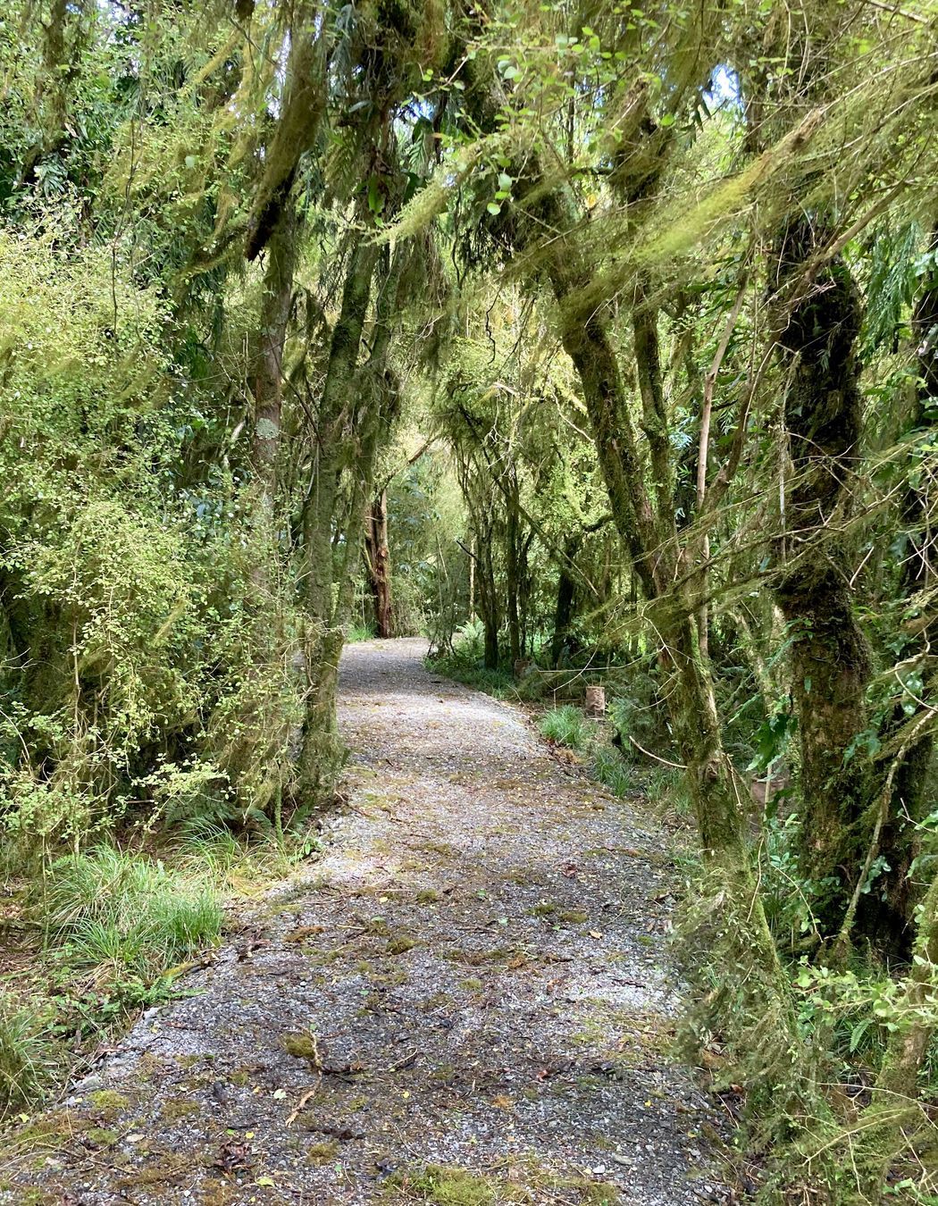 Te Kopikopiko o te Waka