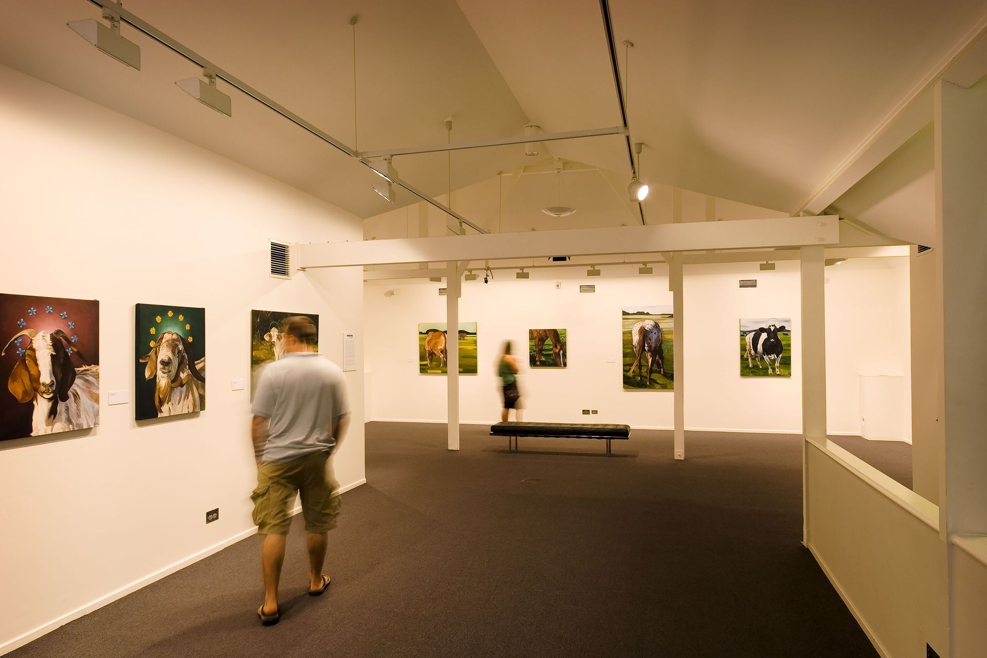 Cairns Art Gallery