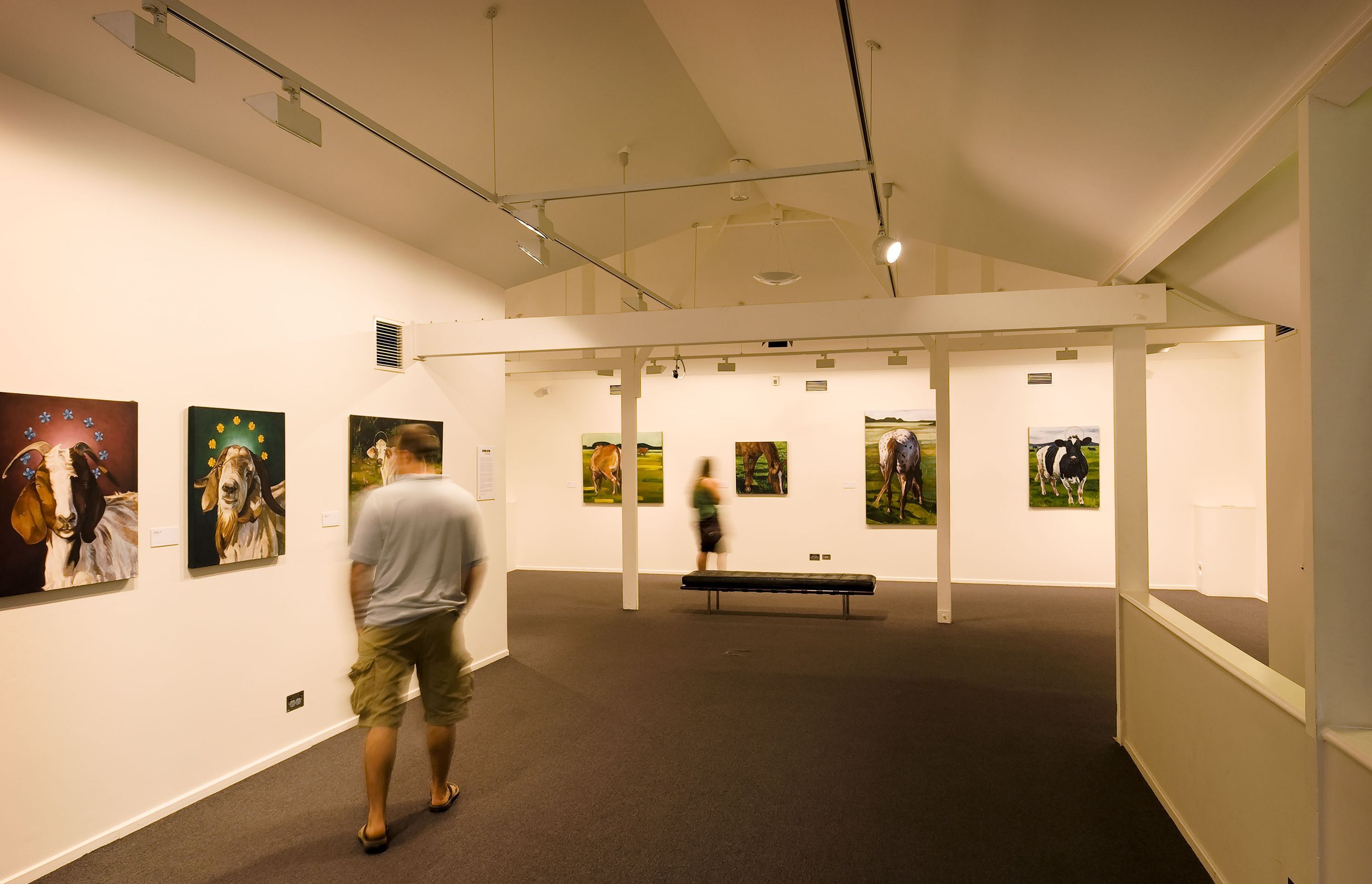 Cairns Art Gallery