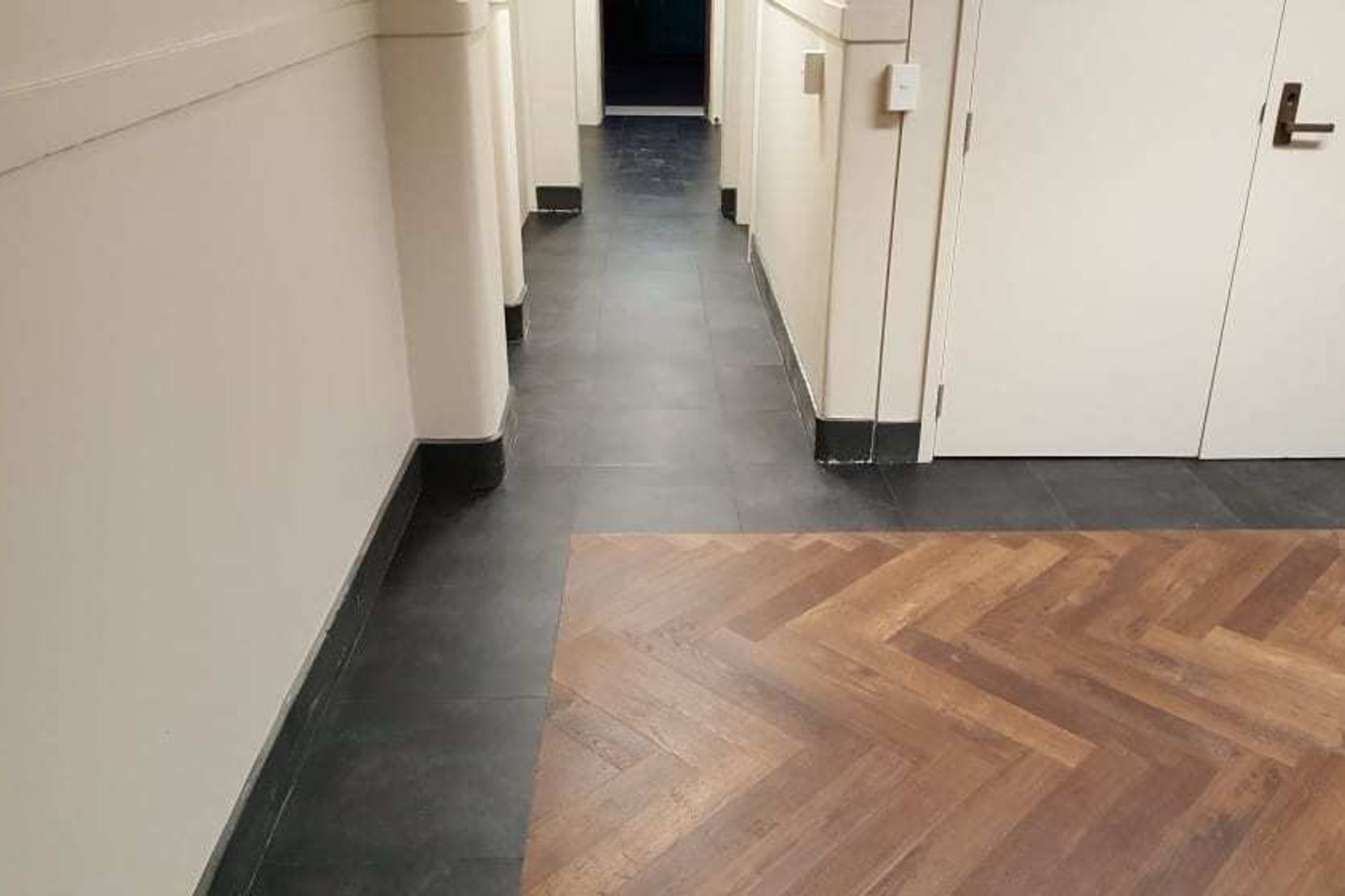 Basin Reserve Gallery