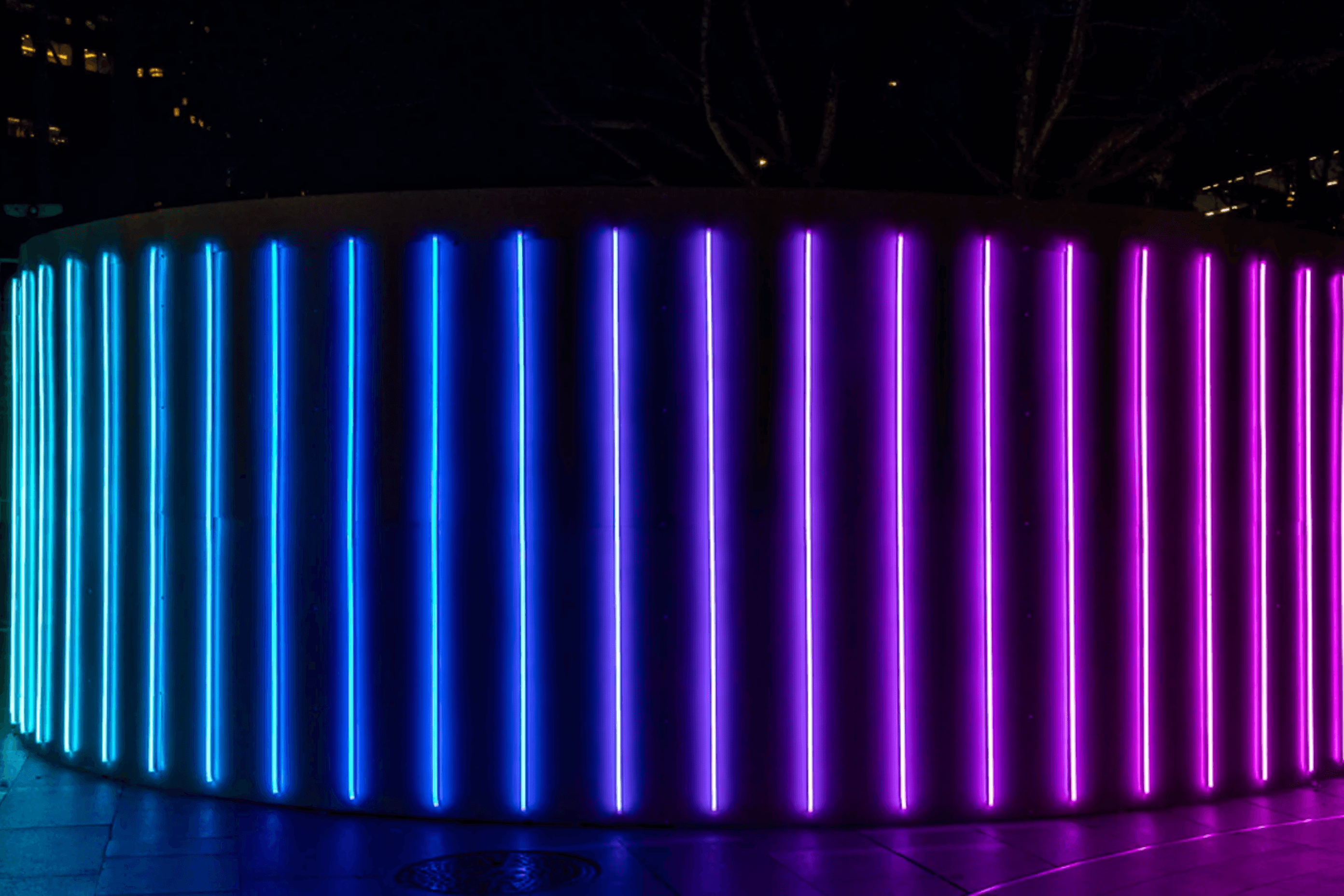 Vivid 2019