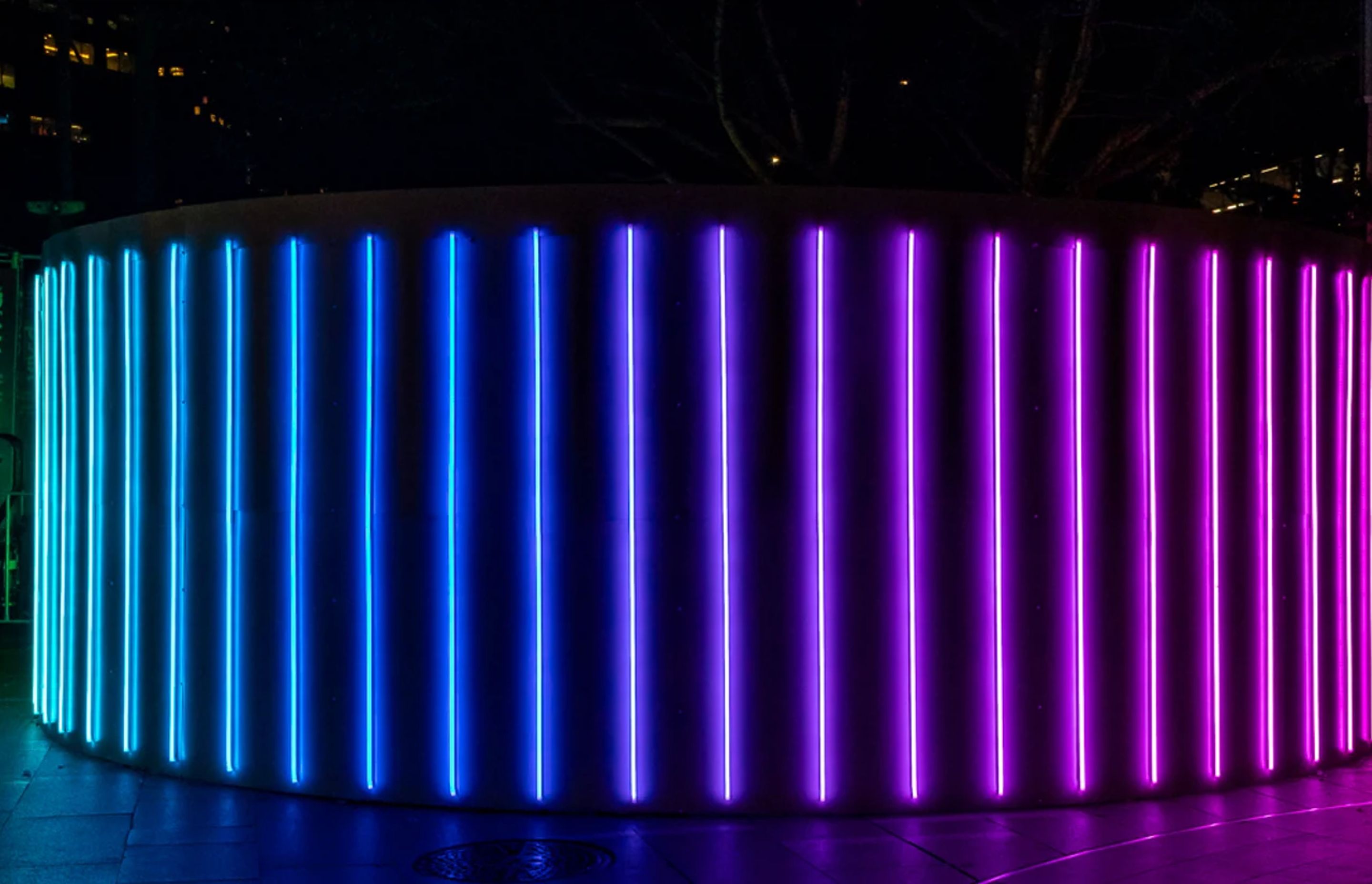 Vivid 2019