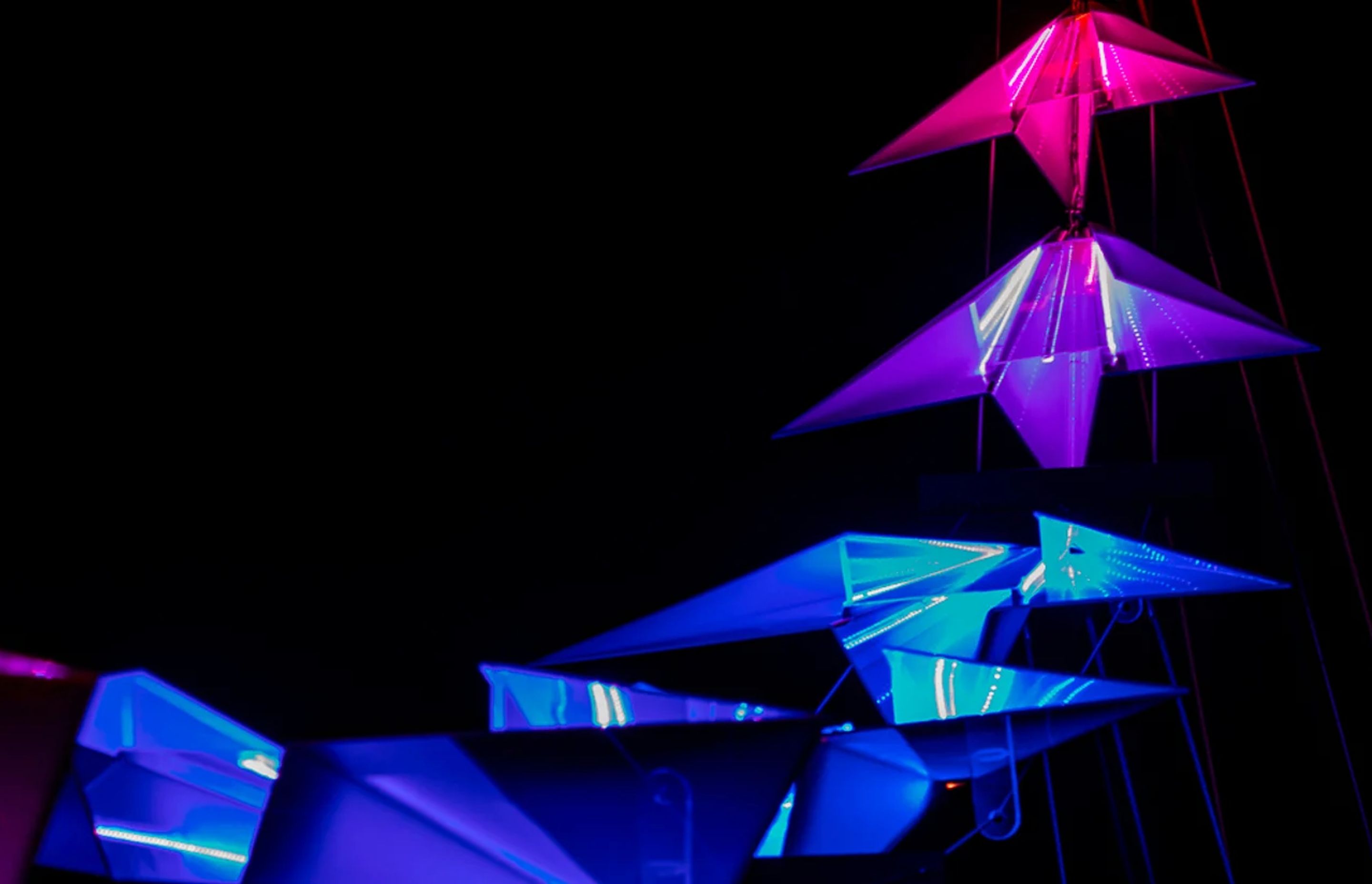 Vivid 2018
