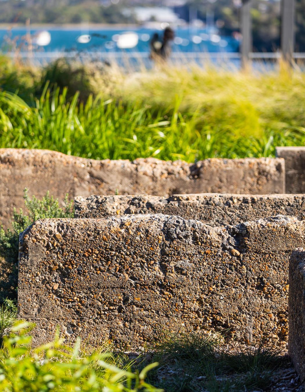 Waverton Coal Loader