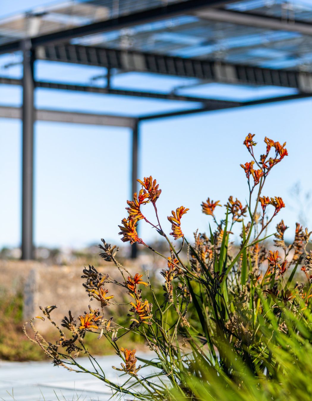 Waverton Coal Loader