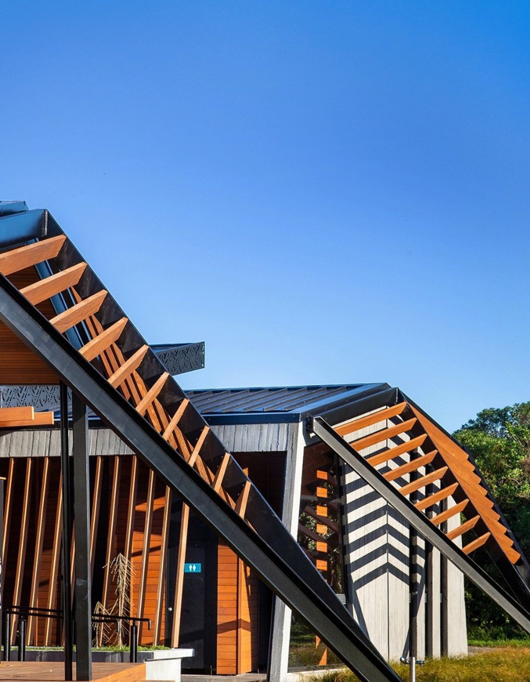 Project Timber: Ramaroa, Kapiti Coast - August 2020