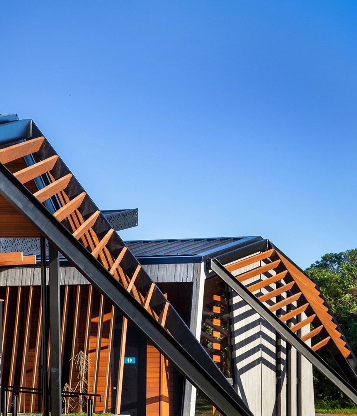 Project Timber: Ramaroa, Kapiti Coast - August 2020