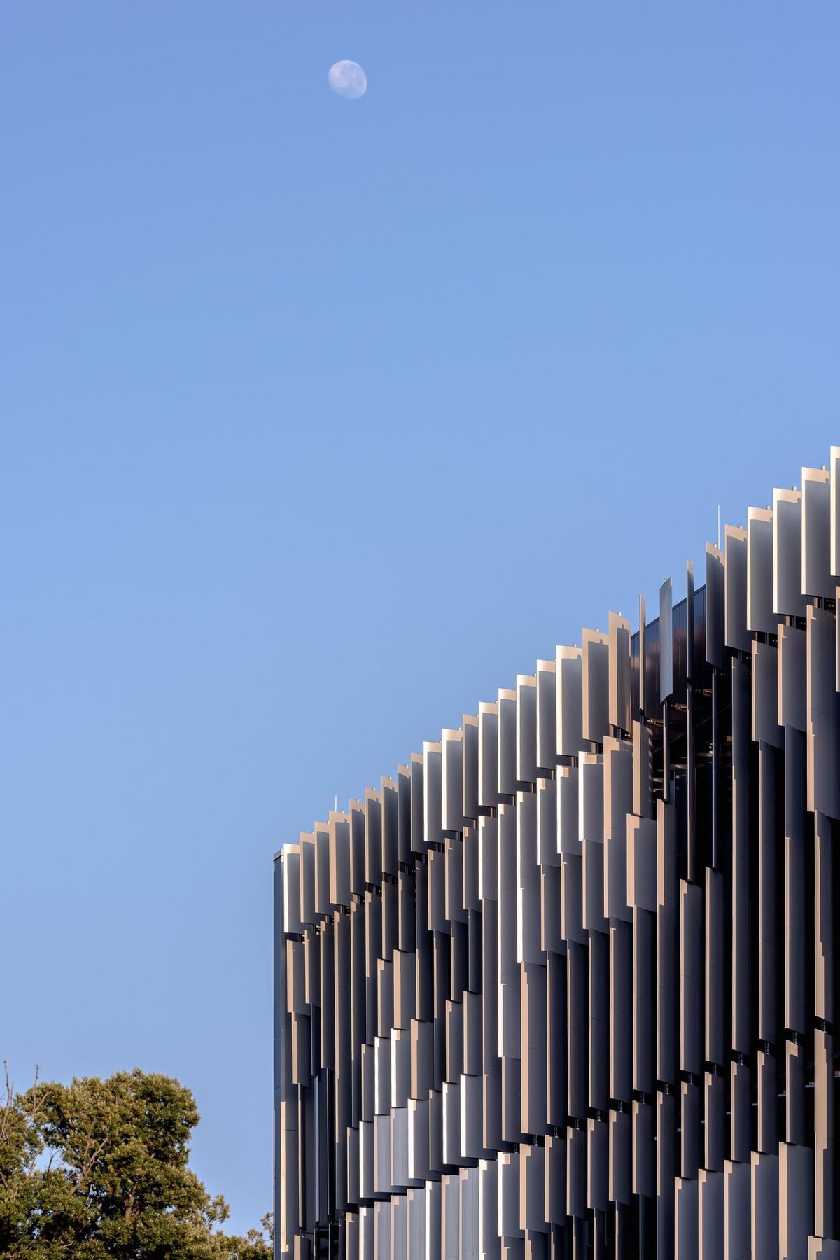 Photography: The Guthrie Project