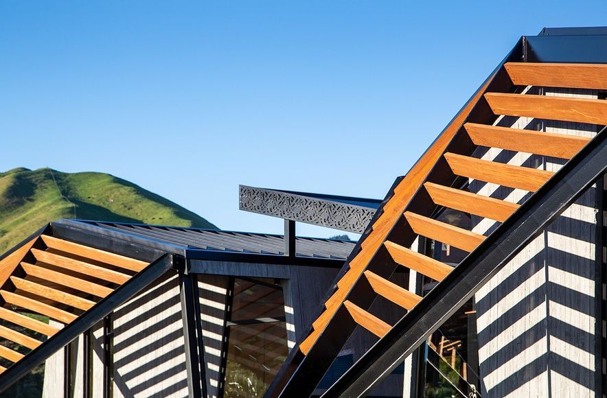 Project Timber: Ramaroa, Kapiti Coast - August 2020