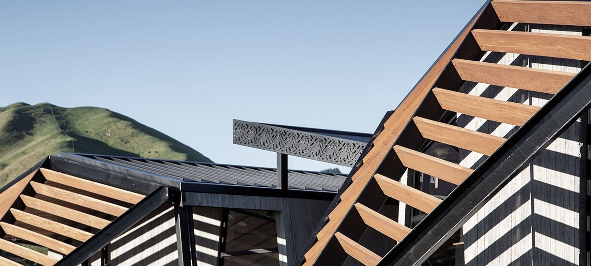 Project Timber: Ramaroa, Kapiti Coast - August 2020 banner