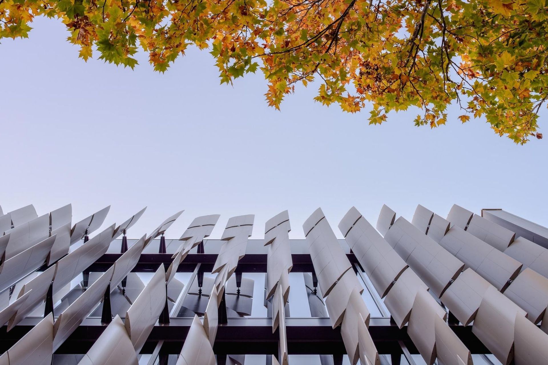 Photography: The Guthrie Project