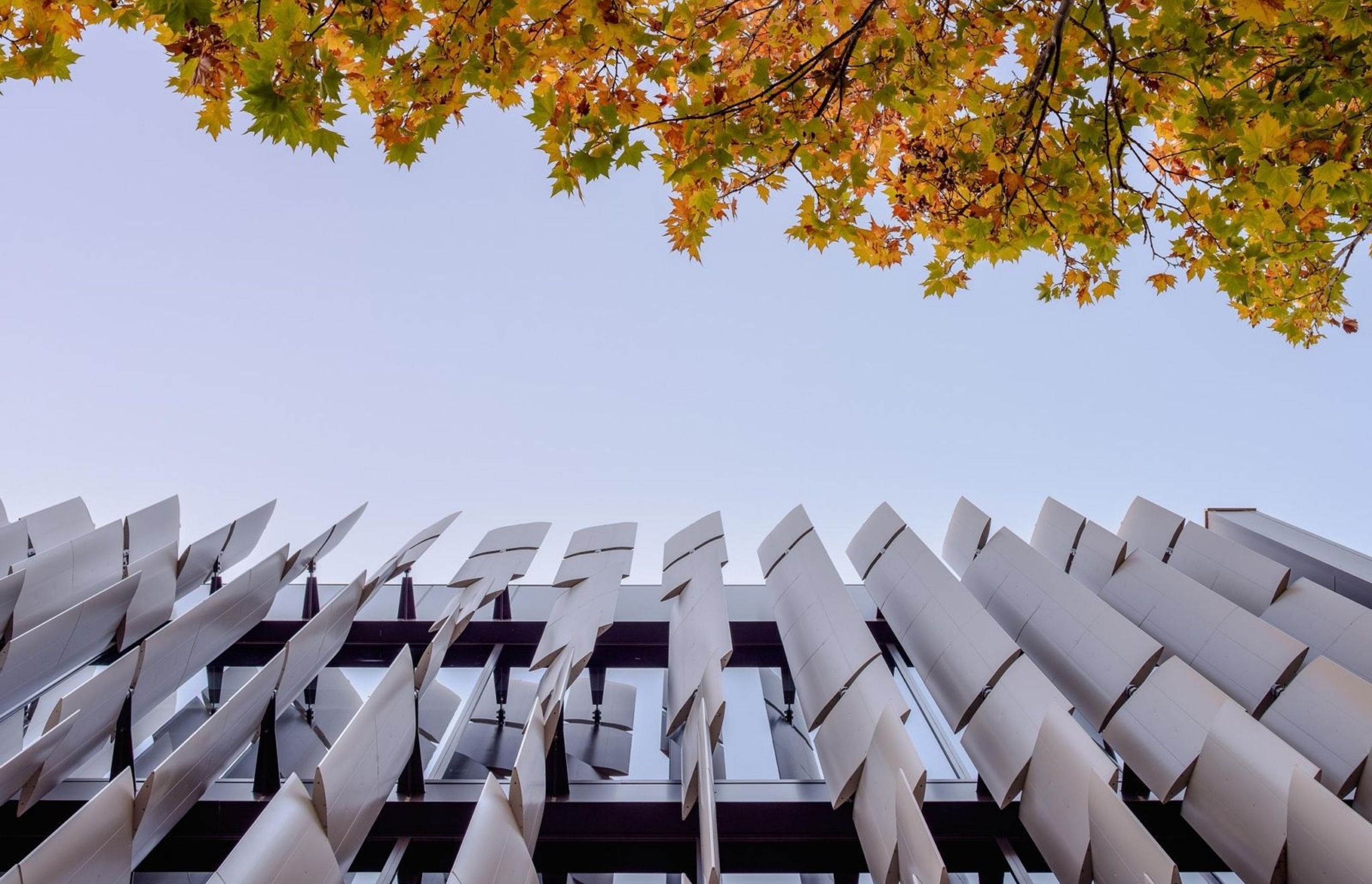 Photography: The Guthrie Project