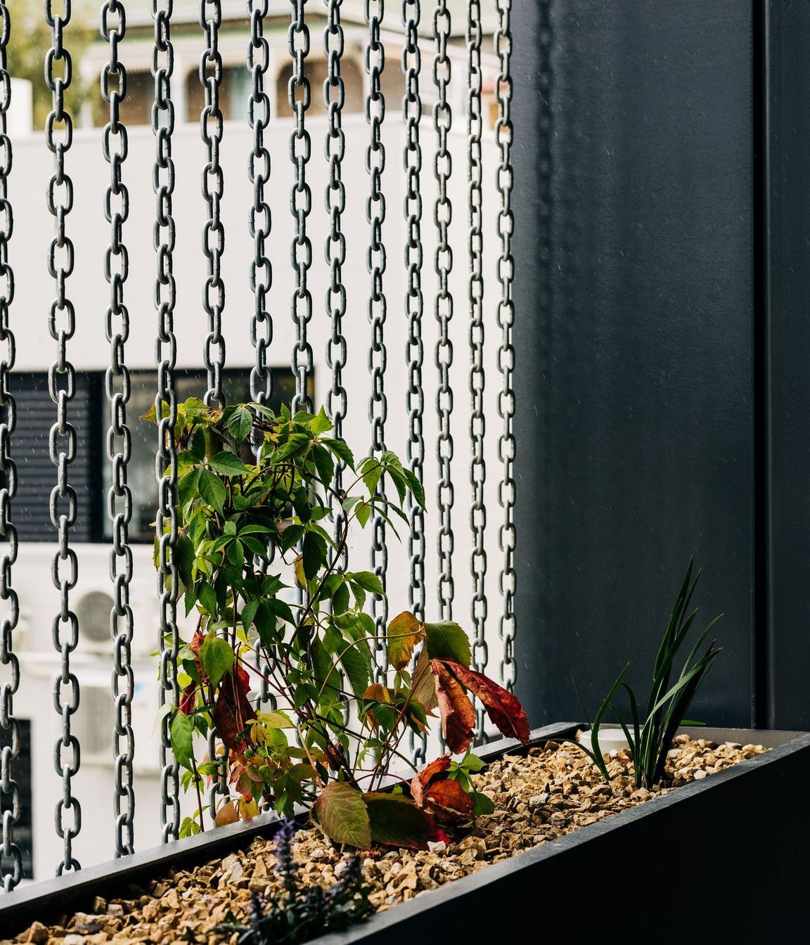 Goulburn Street Housing