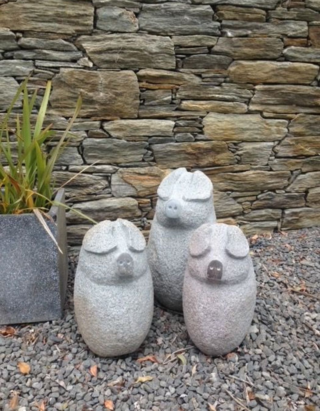 Three little pigs by Paul Gautron