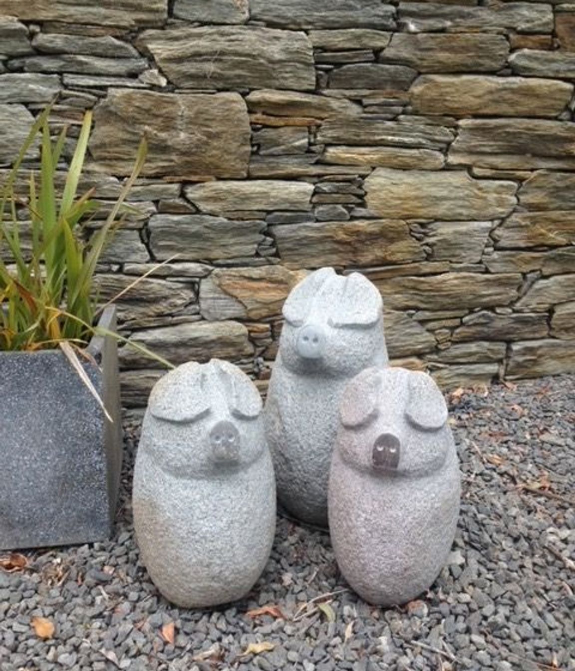 Three little pigs by Paul Gautron
