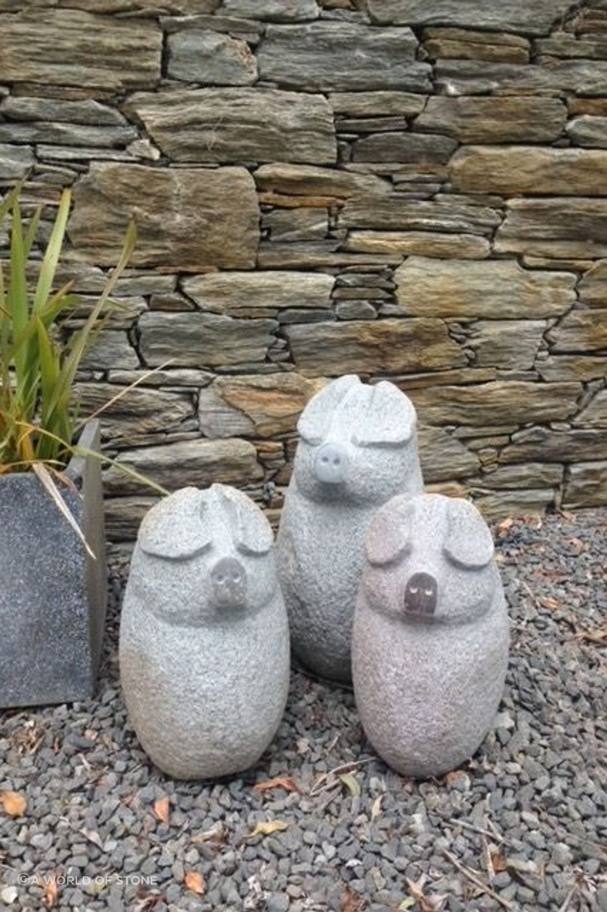 Three little pigs by Paul Gautron