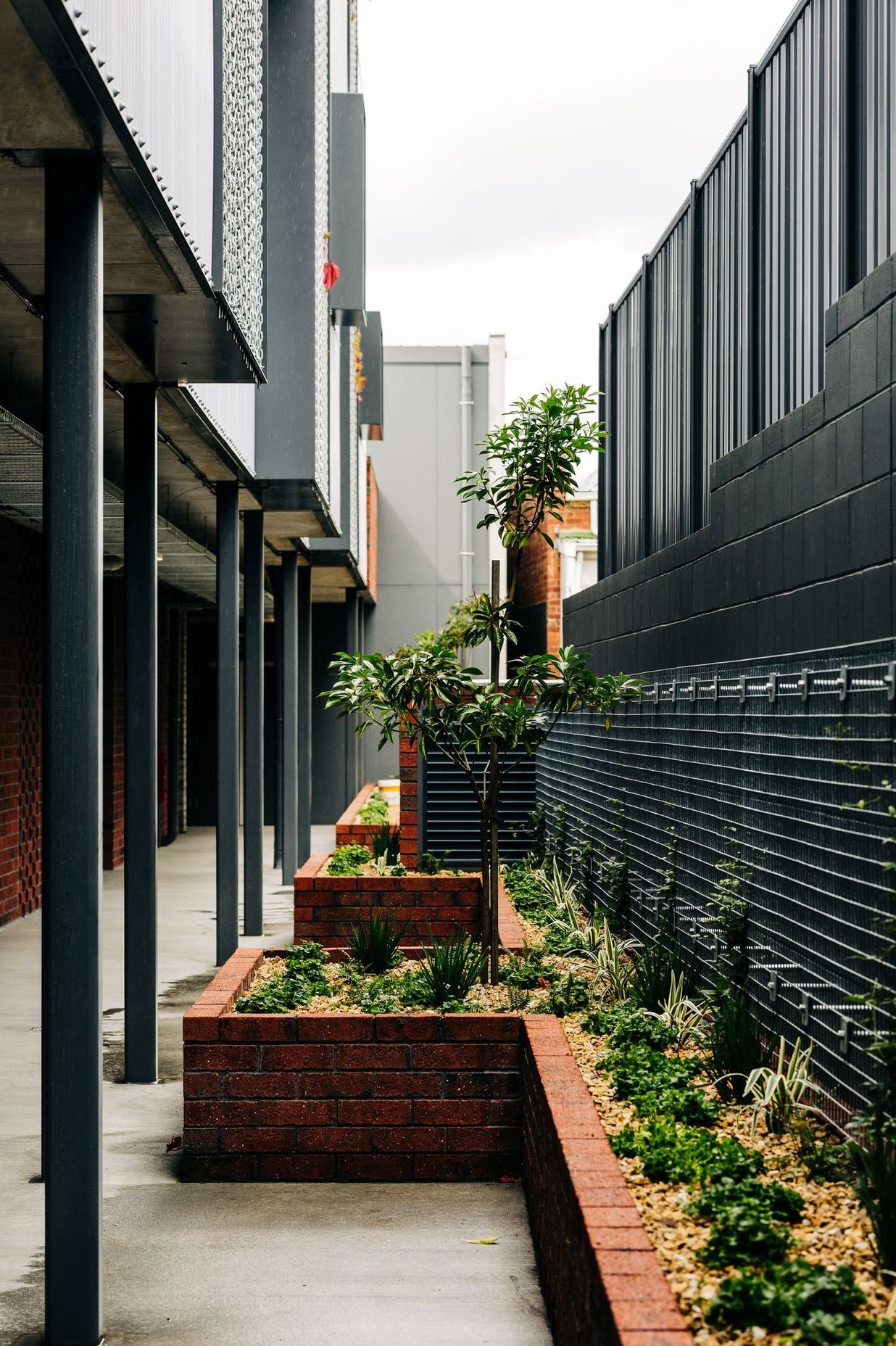 Goulburn Street Housing