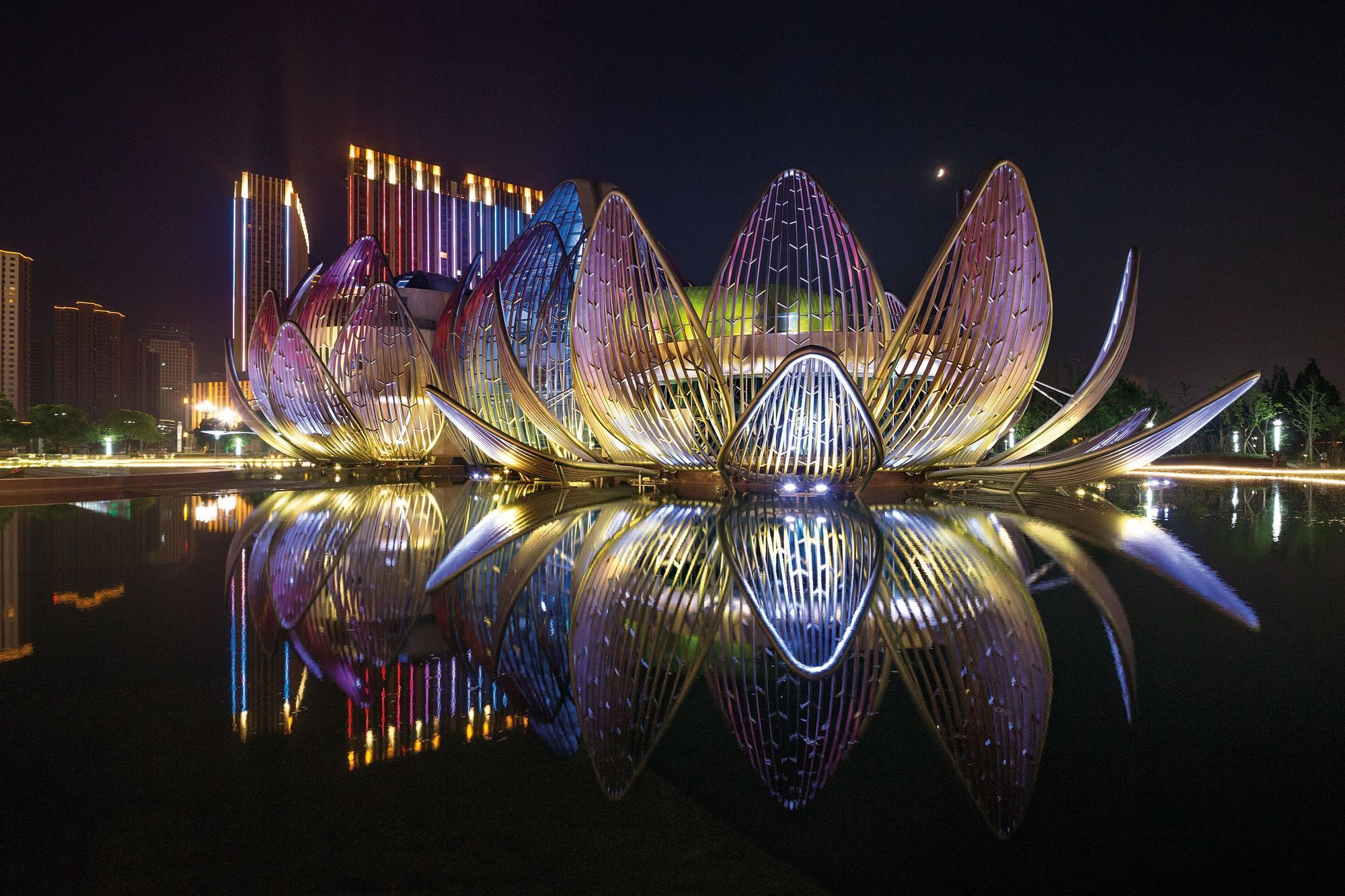 ^^Lotus
