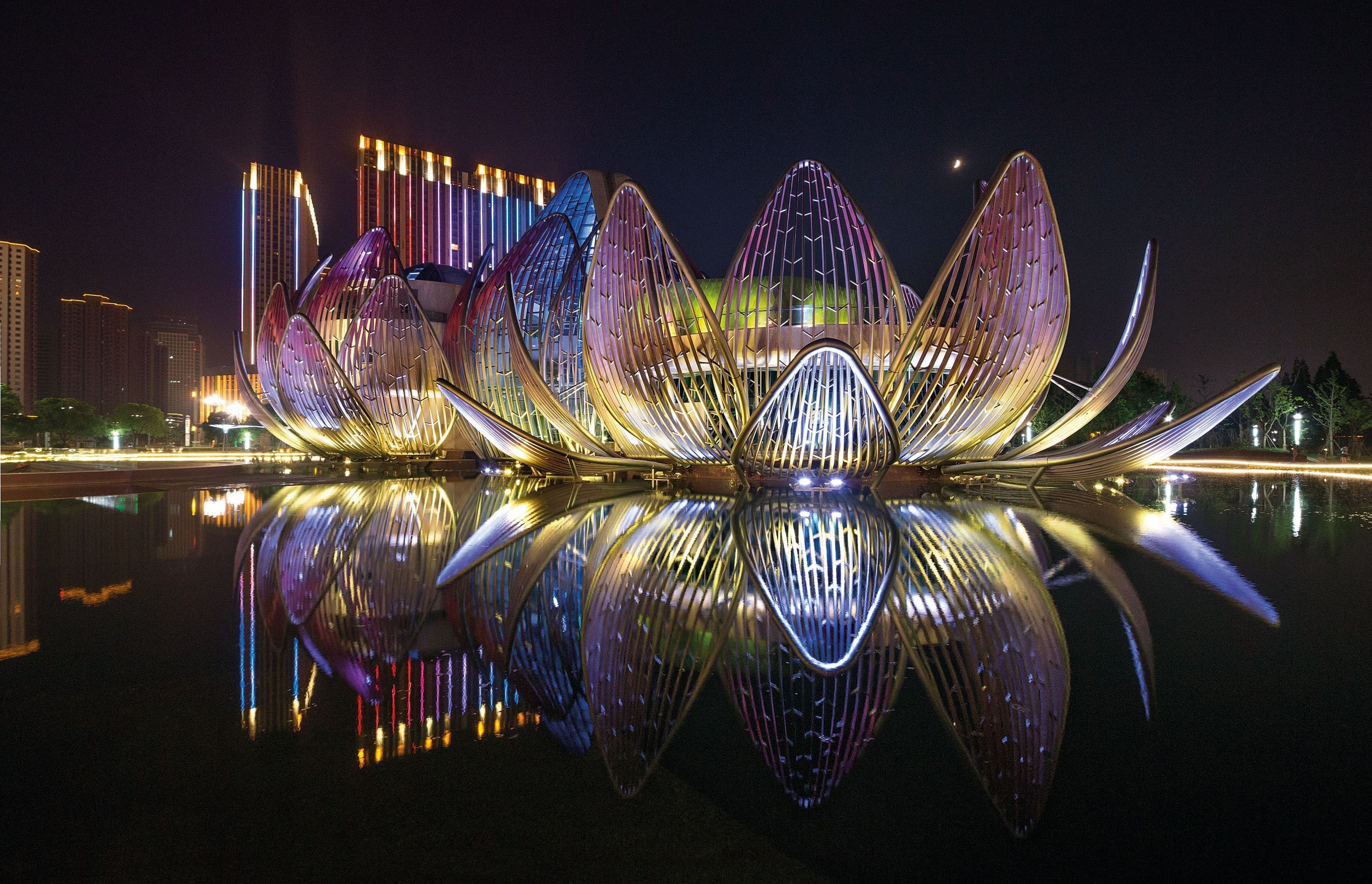 ^^Lotus