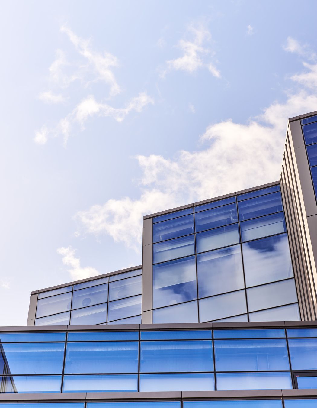 B507 | University of Auckland