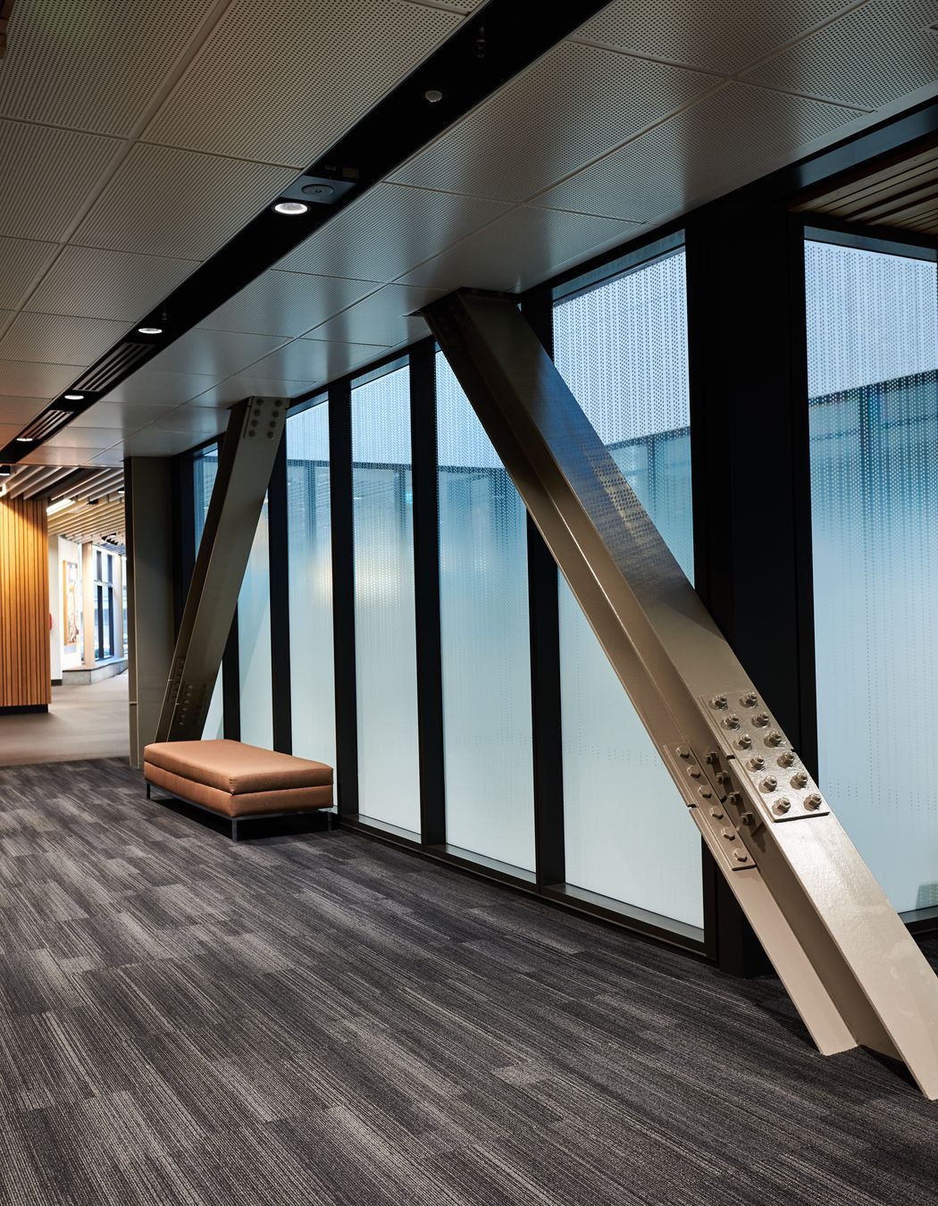 B507 | University of Auckland