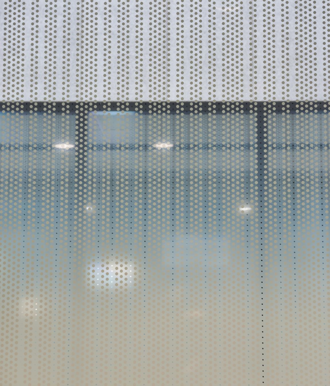 B507 | University of Auckland
