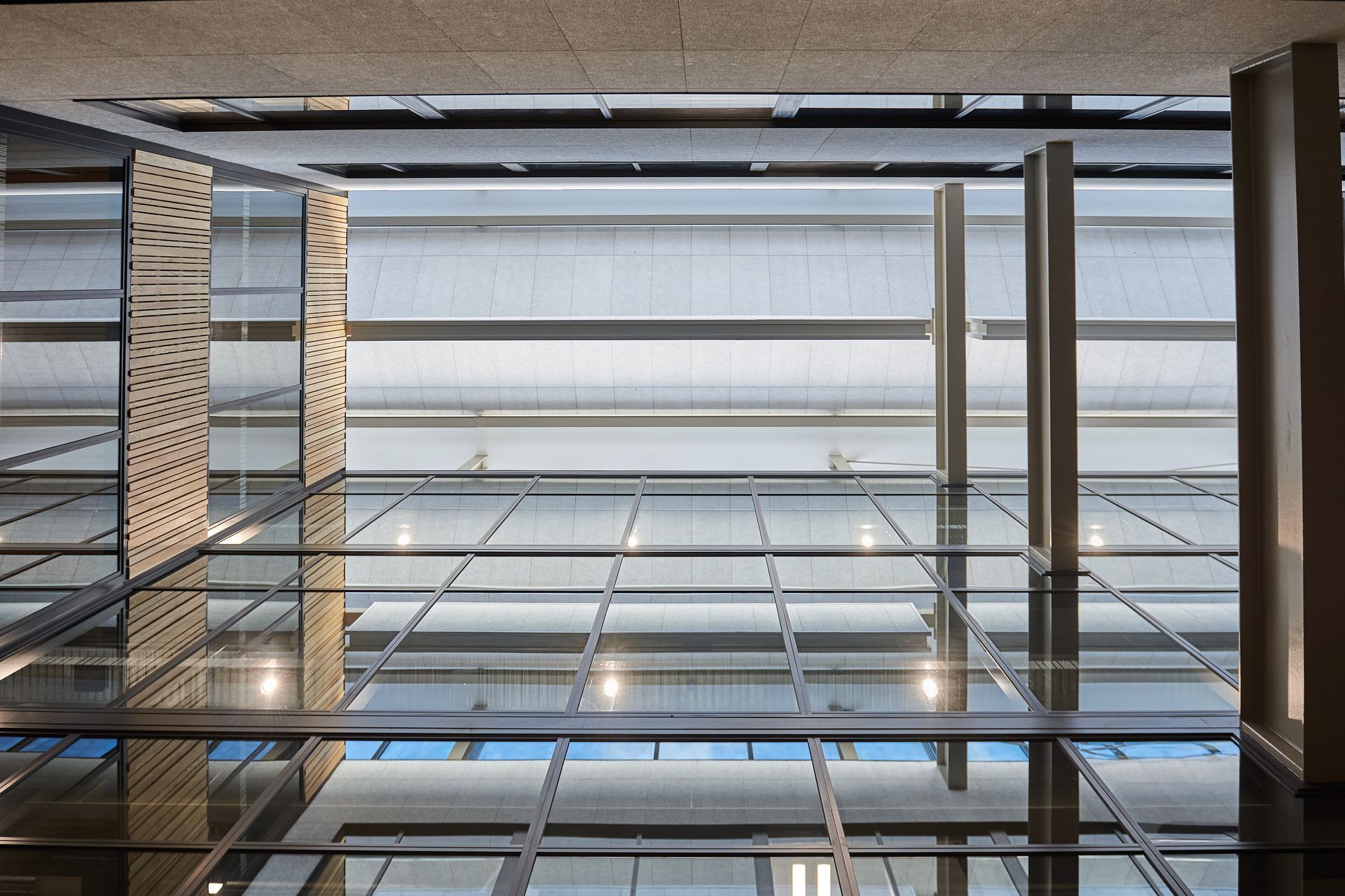 B507 | University of Auckland