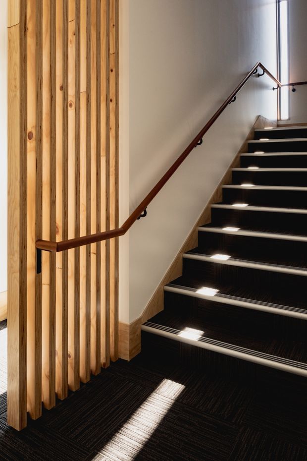 Interior view of a contemporary stairway with dark carpeted treads, contrasting light timber nosing and vertical timber slat screen. A dark timber handrail runs along the pale plaster wall, with small windows or skylight openings casting bright bands of sunlight across the stairs and floor.