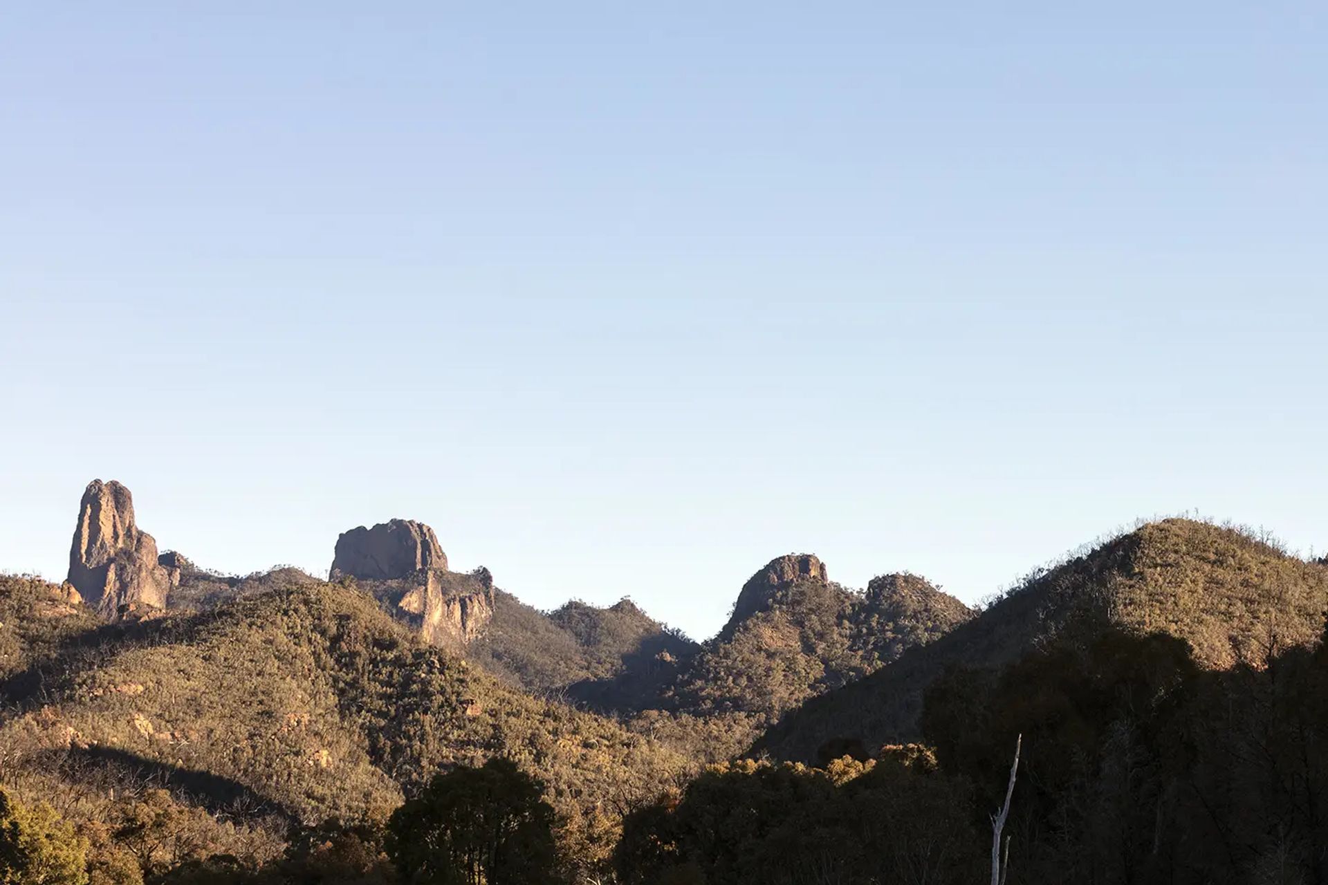 Photography: Brett Boardman