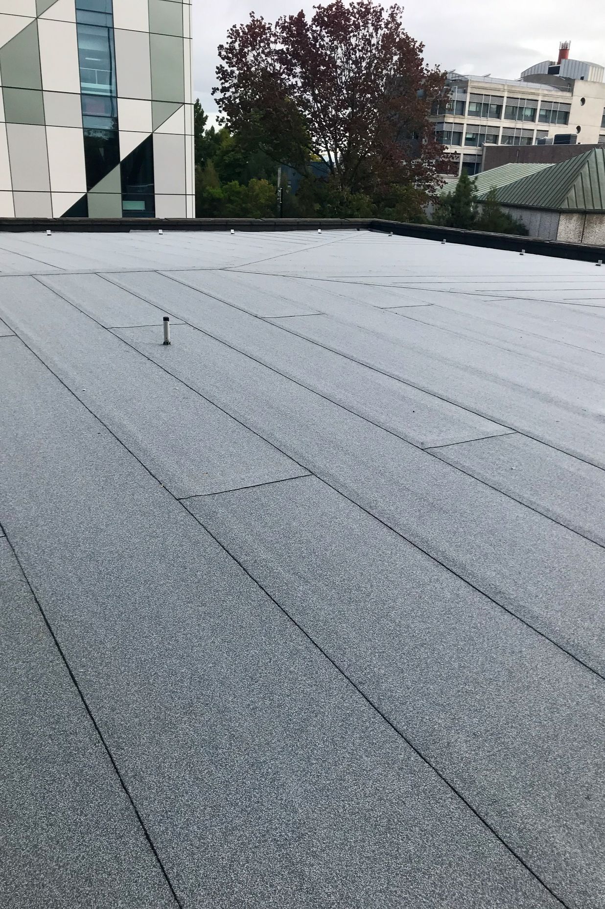 Completed Duotherm Warm Roof - Beatrice Tinsley Building
