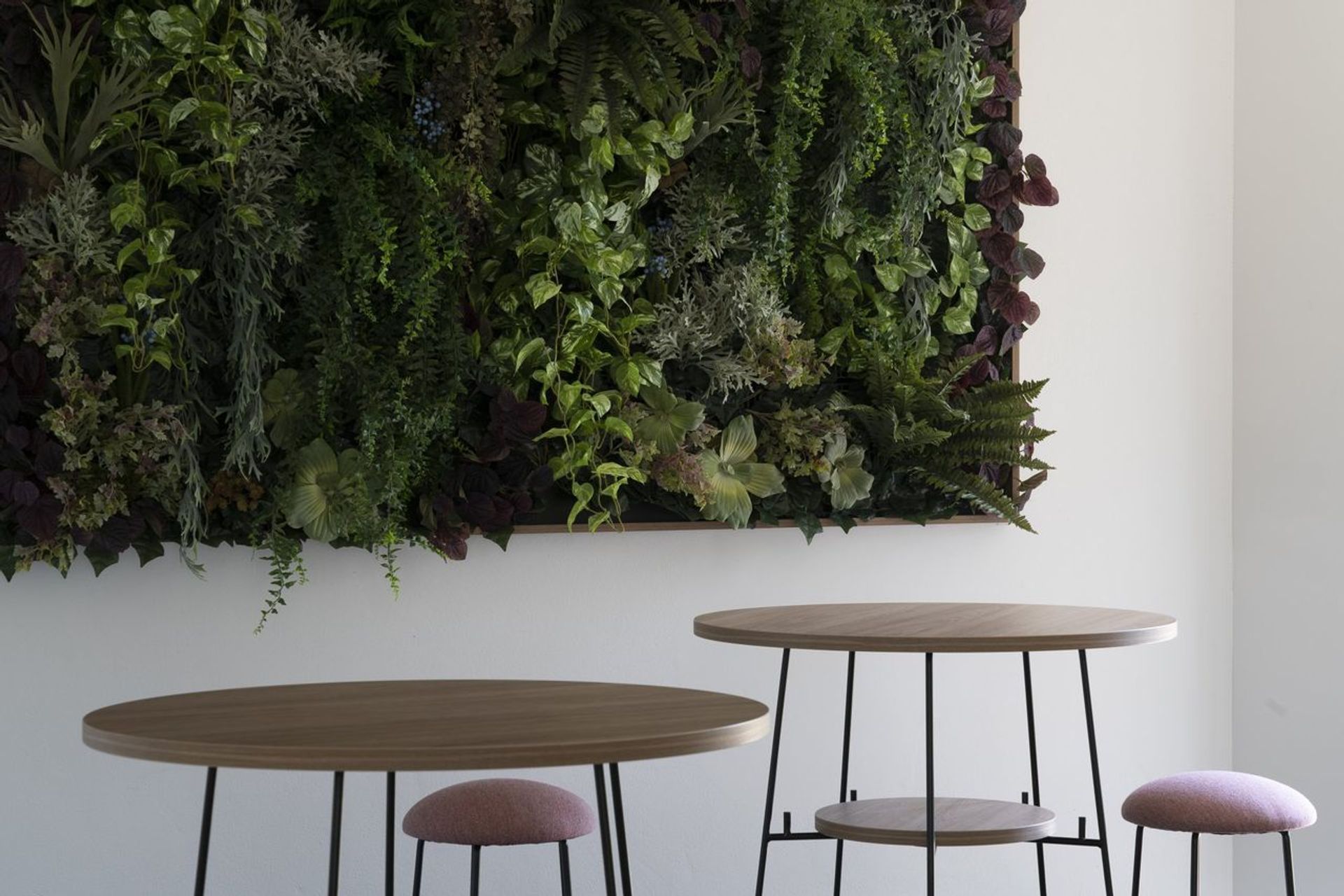 University of Tasmania