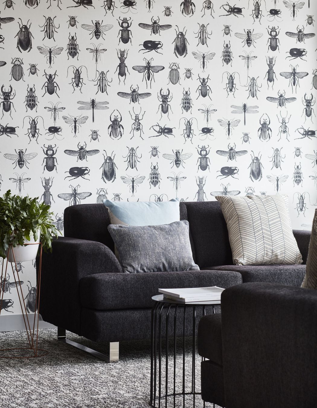 Photography: Luc Remond