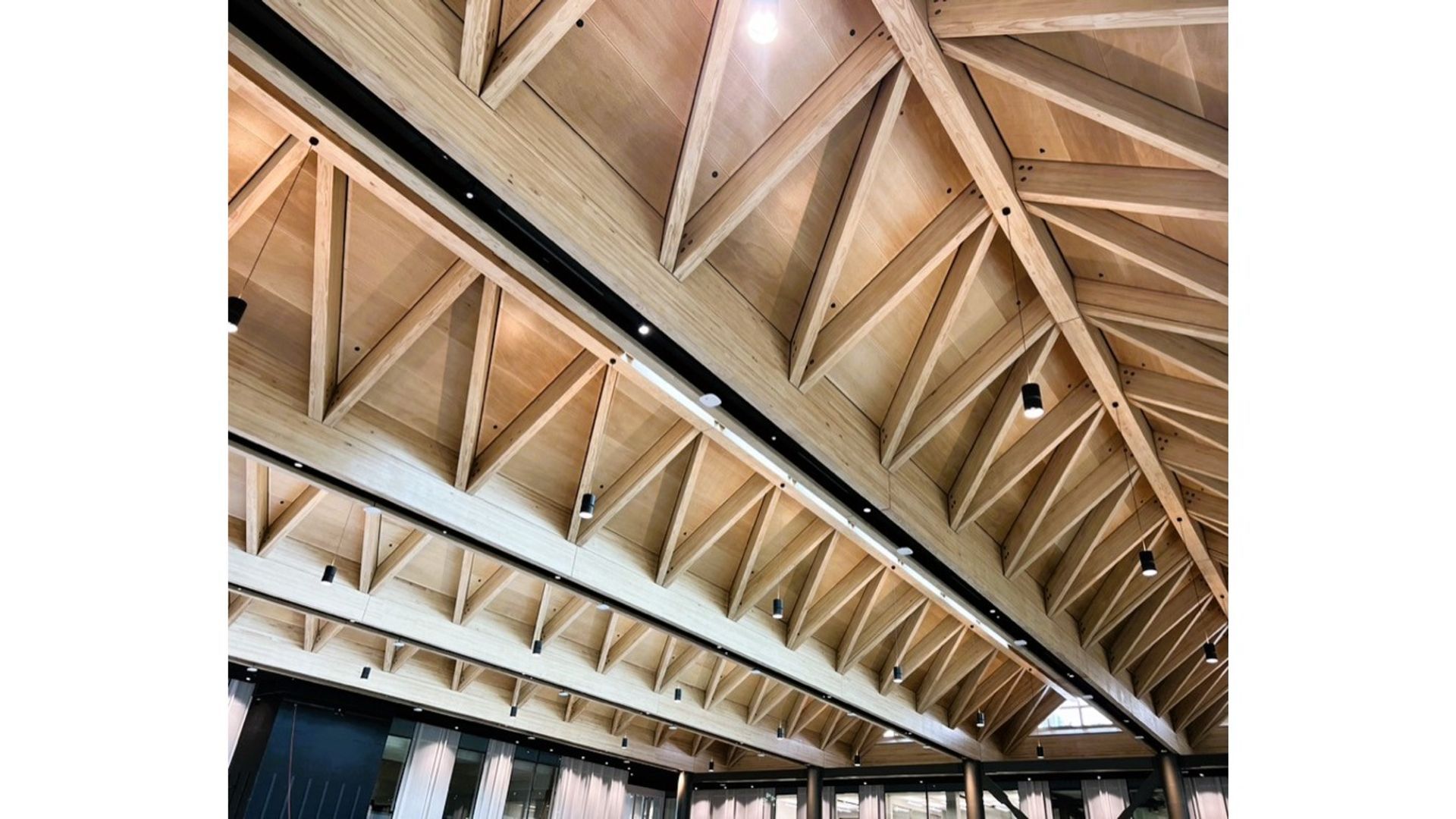 B201 Atrium - Auckland University banner