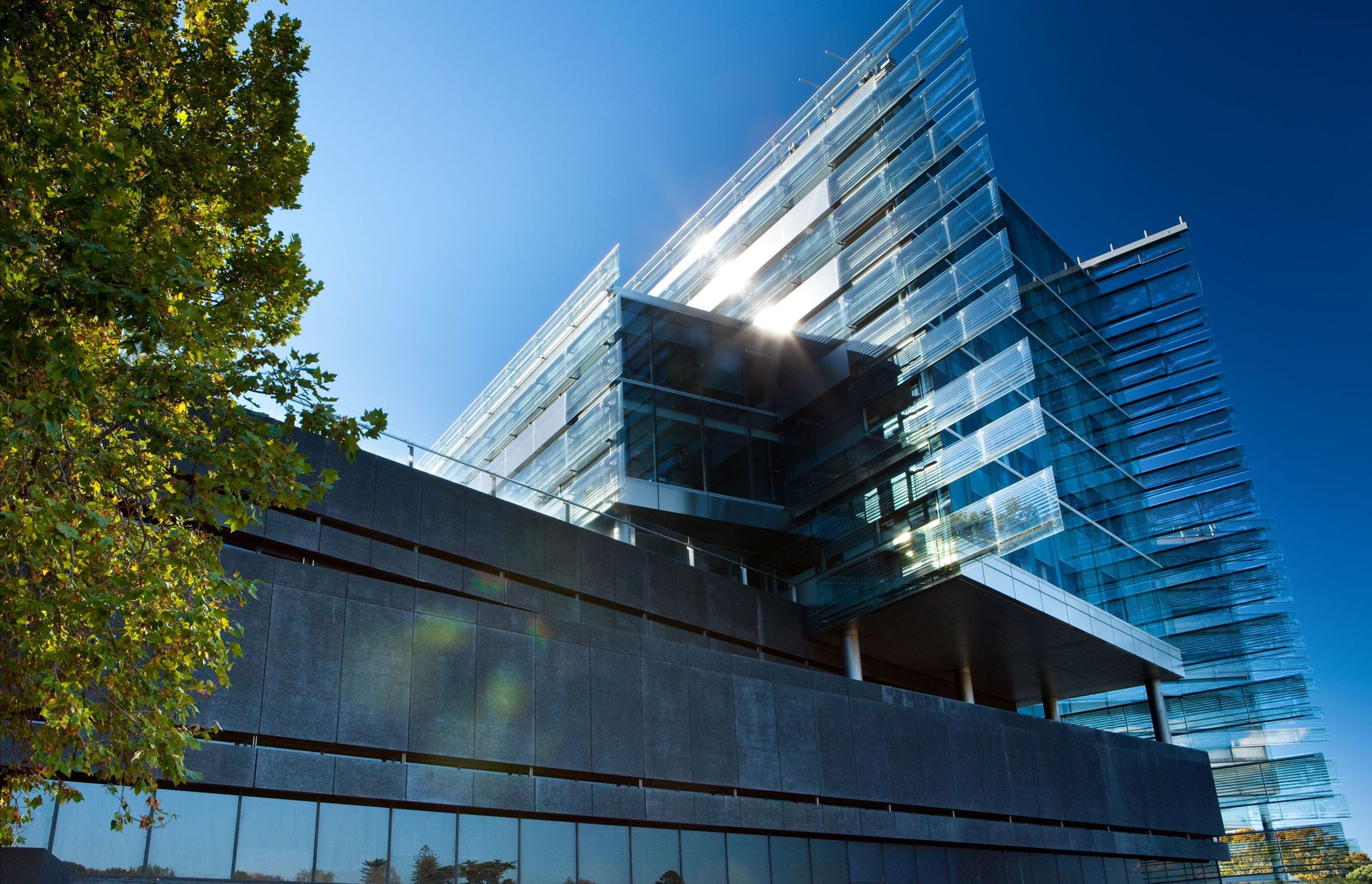 UOA Business School