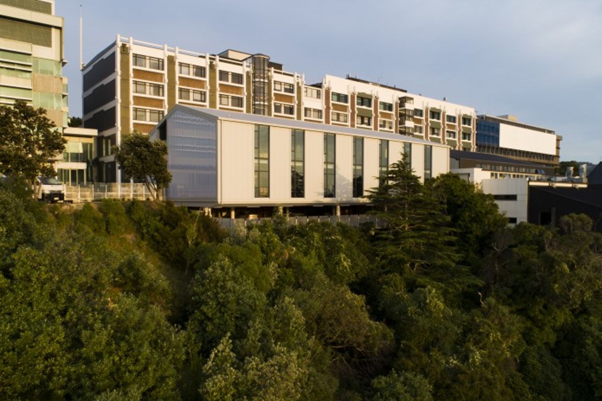 Maru, Victoria University of Wellington