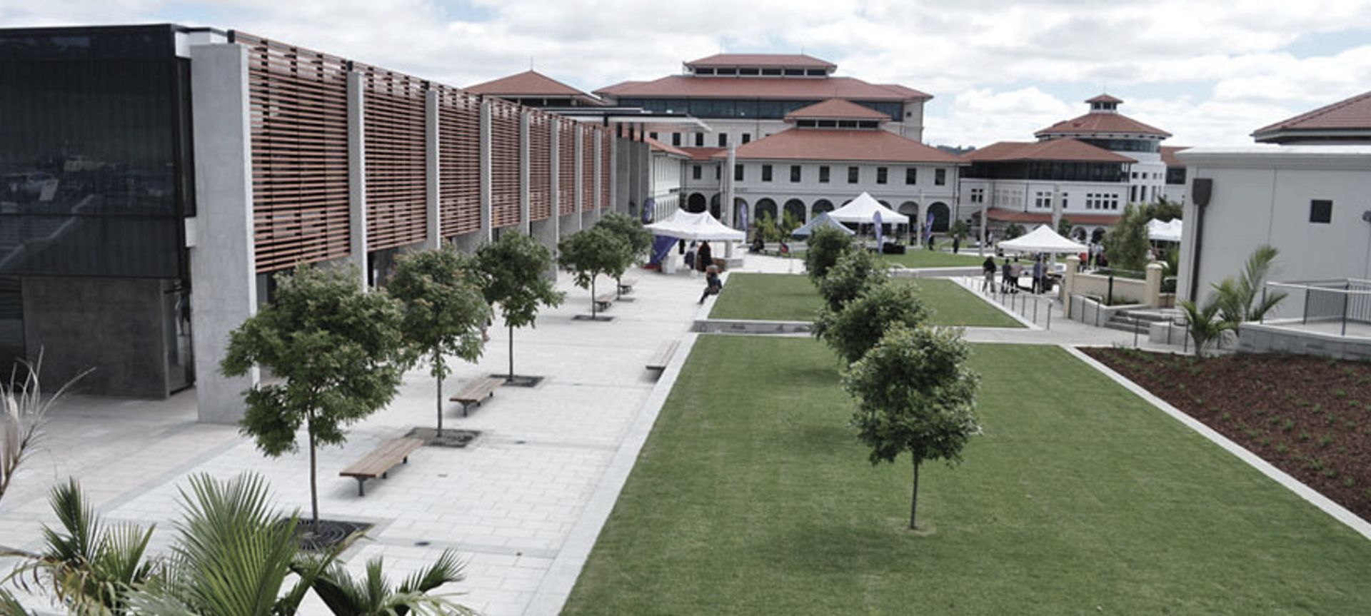Massey Albany Campus banner