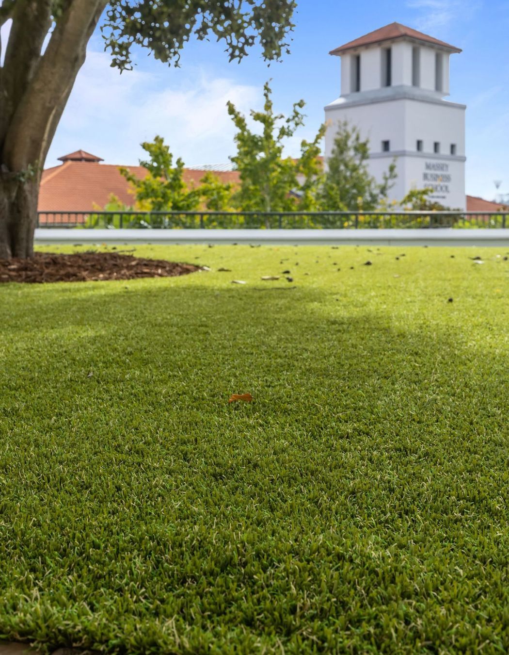 Massey University Albany Campus
