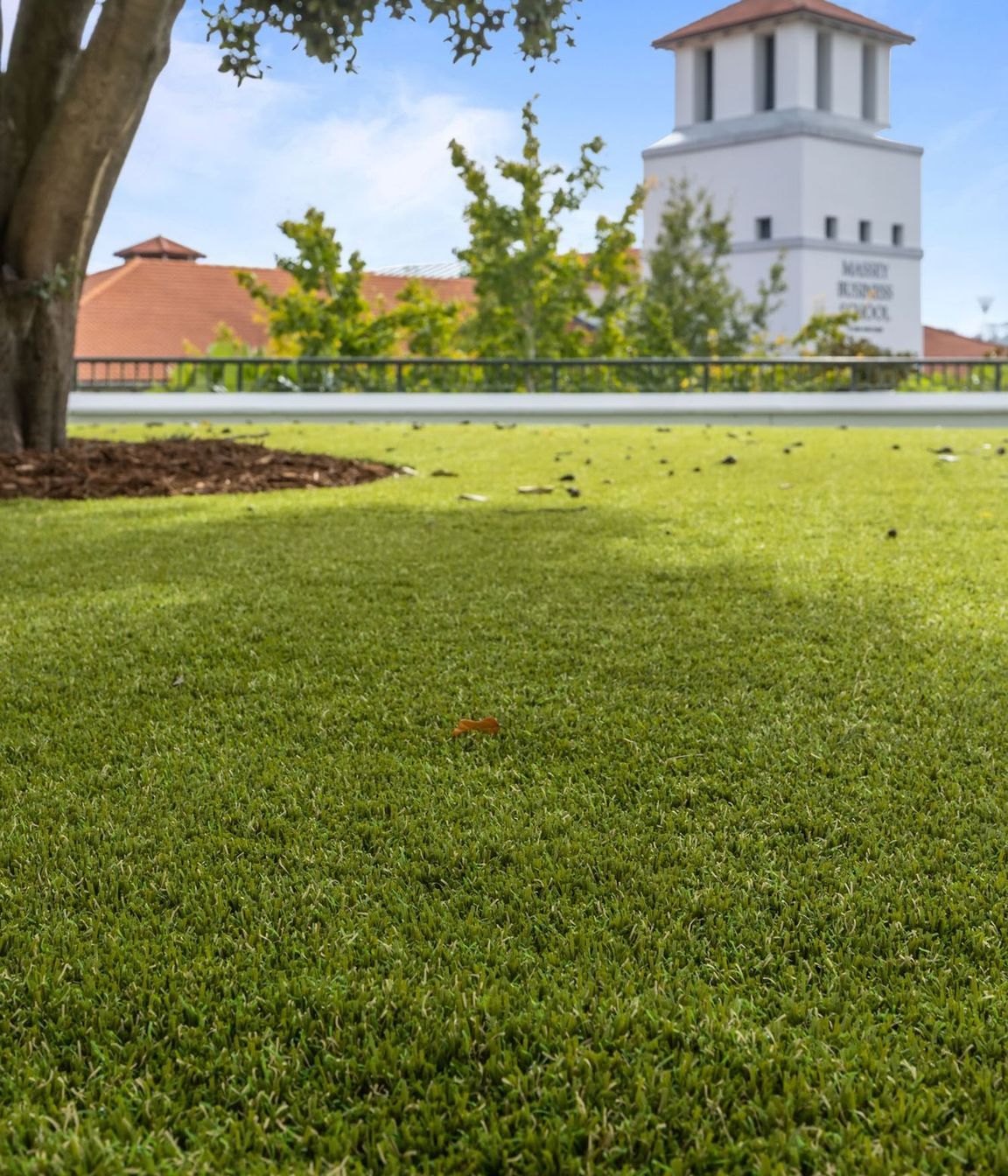 Massey University Albany Campus