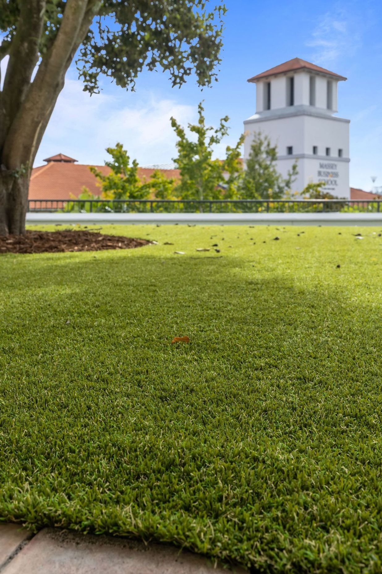 Massey University Albany Campus