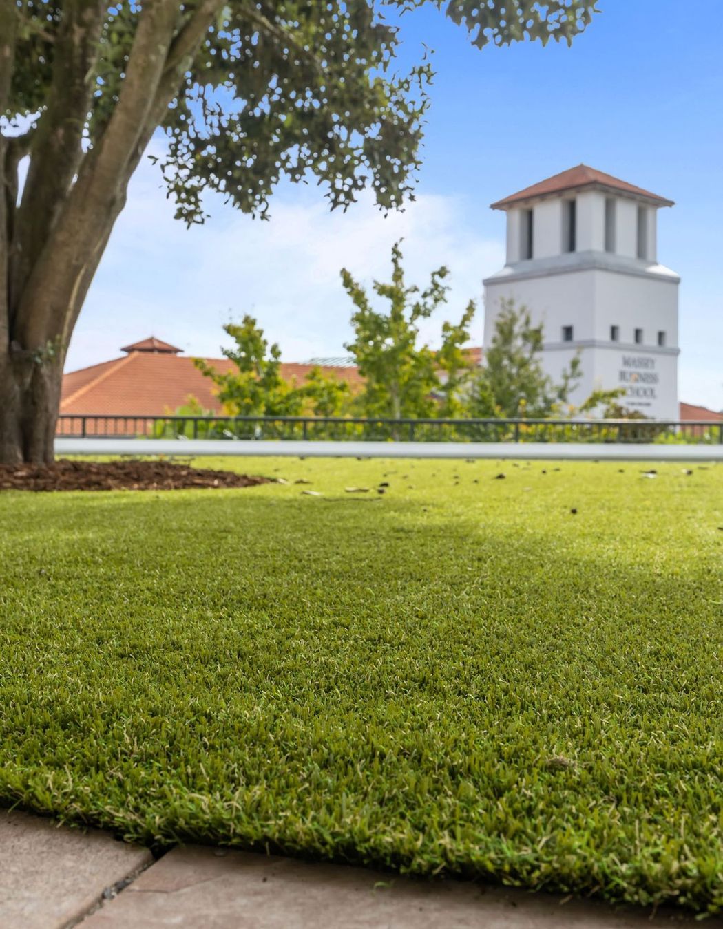 Massey University Albany Campus